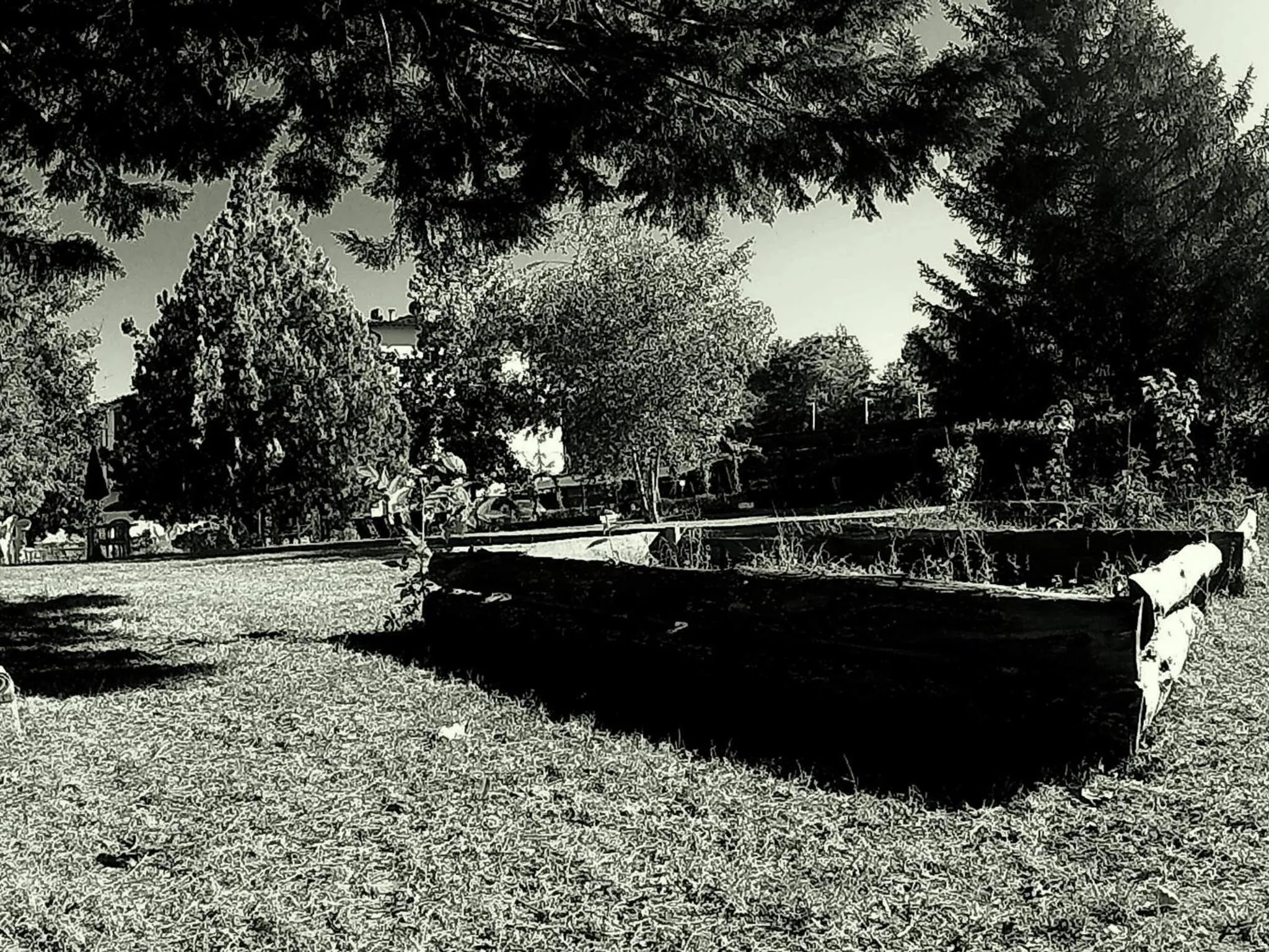 Garden in La Francigena
