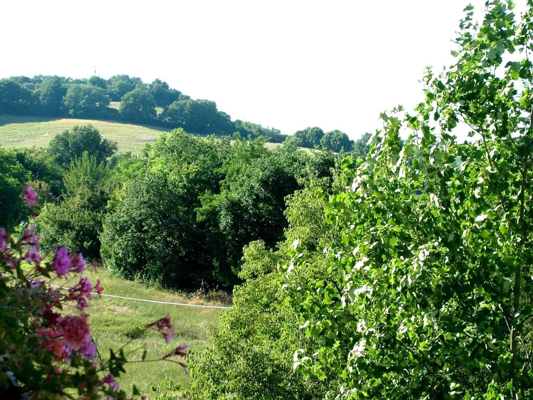 View (from property/room) in La Francigena