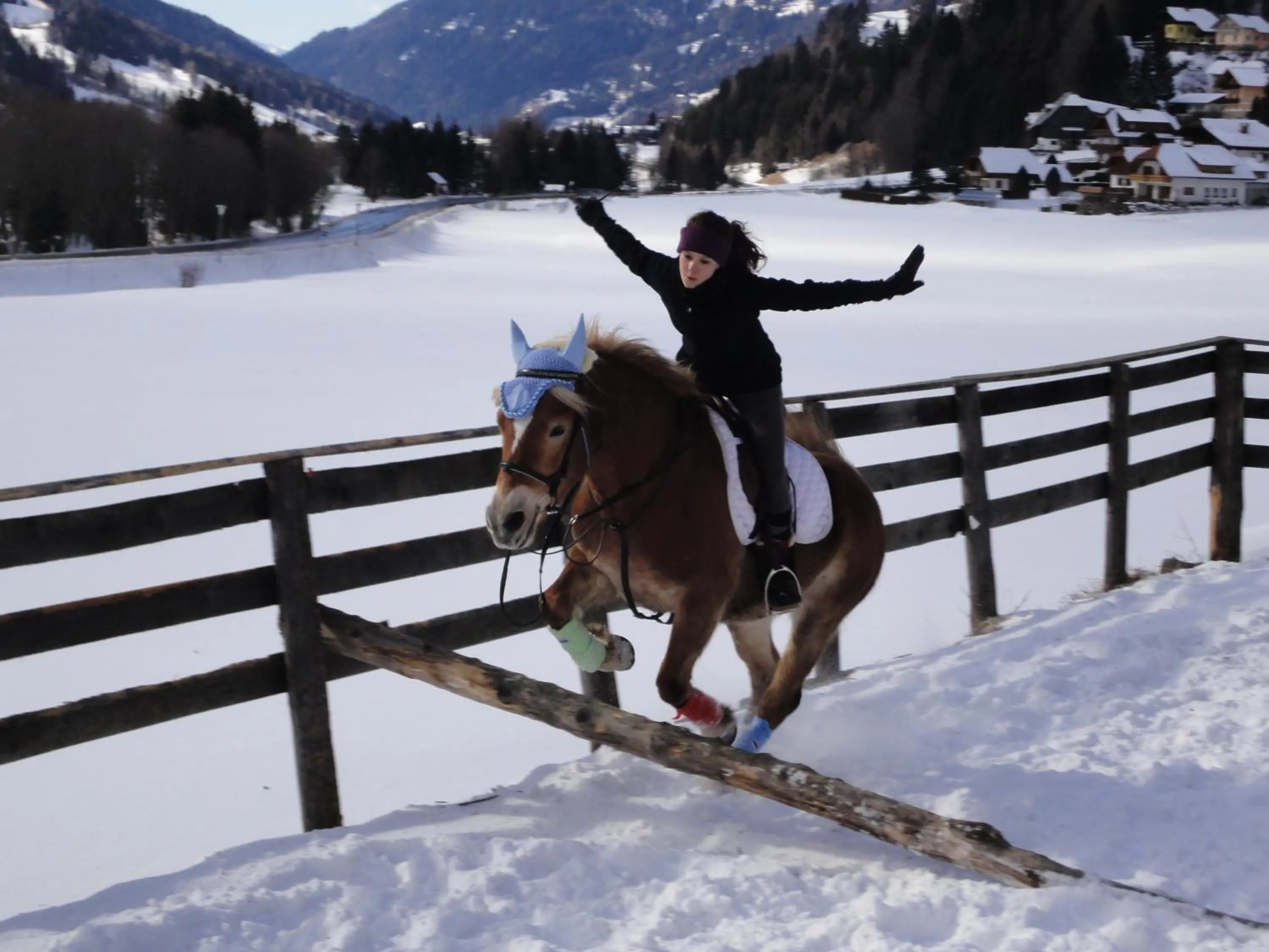 Horse-riding in Biohof Seidl