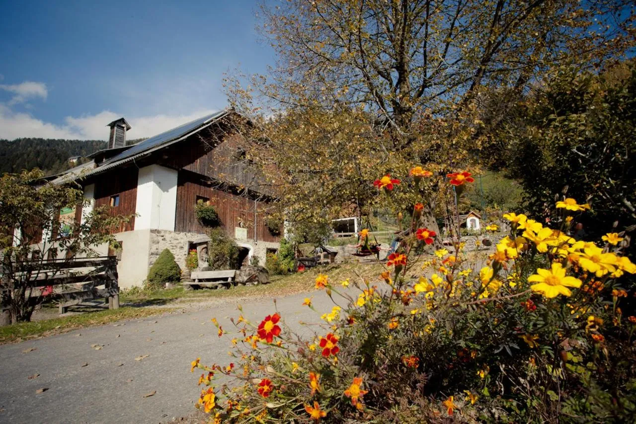 Property building in Biohof Seidl