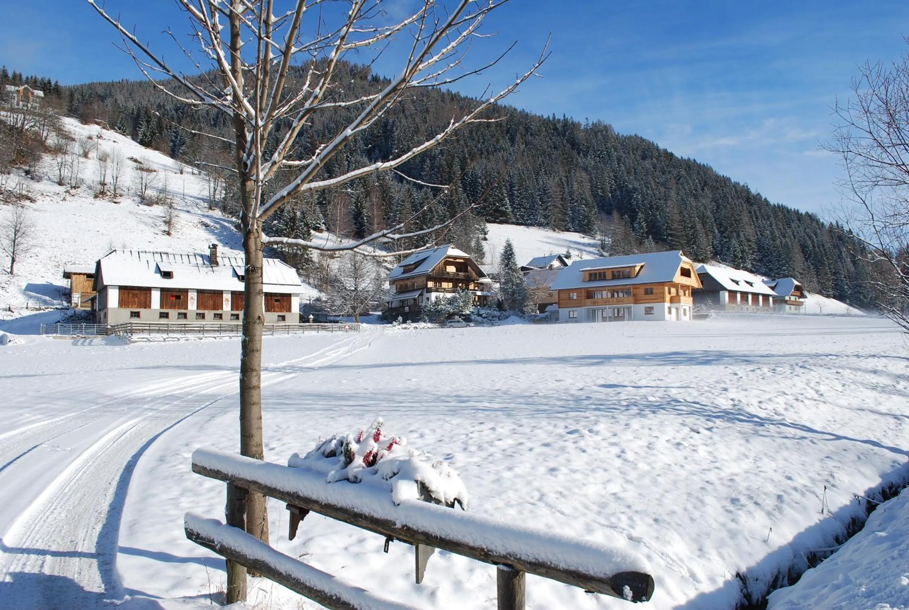 Winter in Biohof Seidl