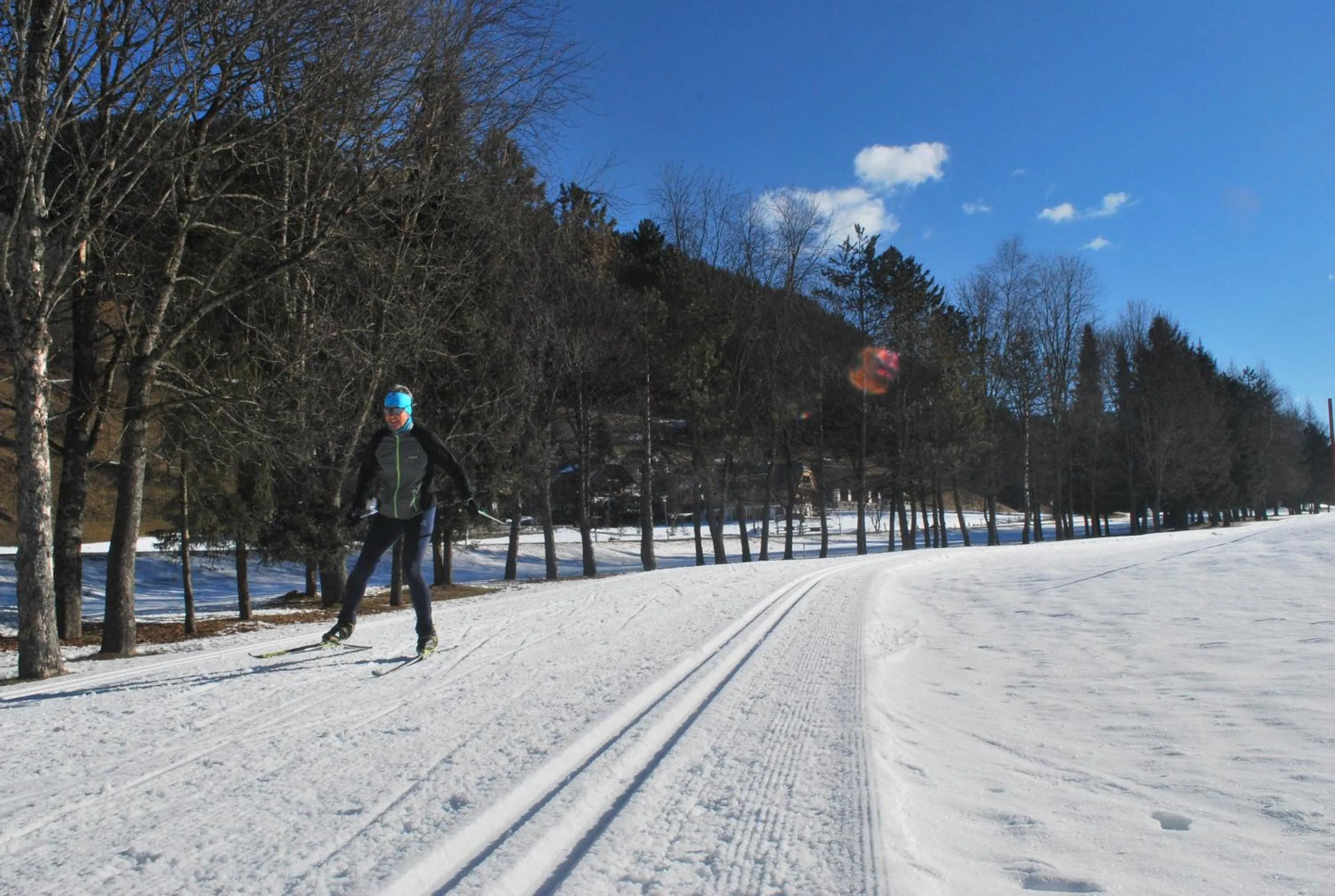 Ski School in Biohof Seidl