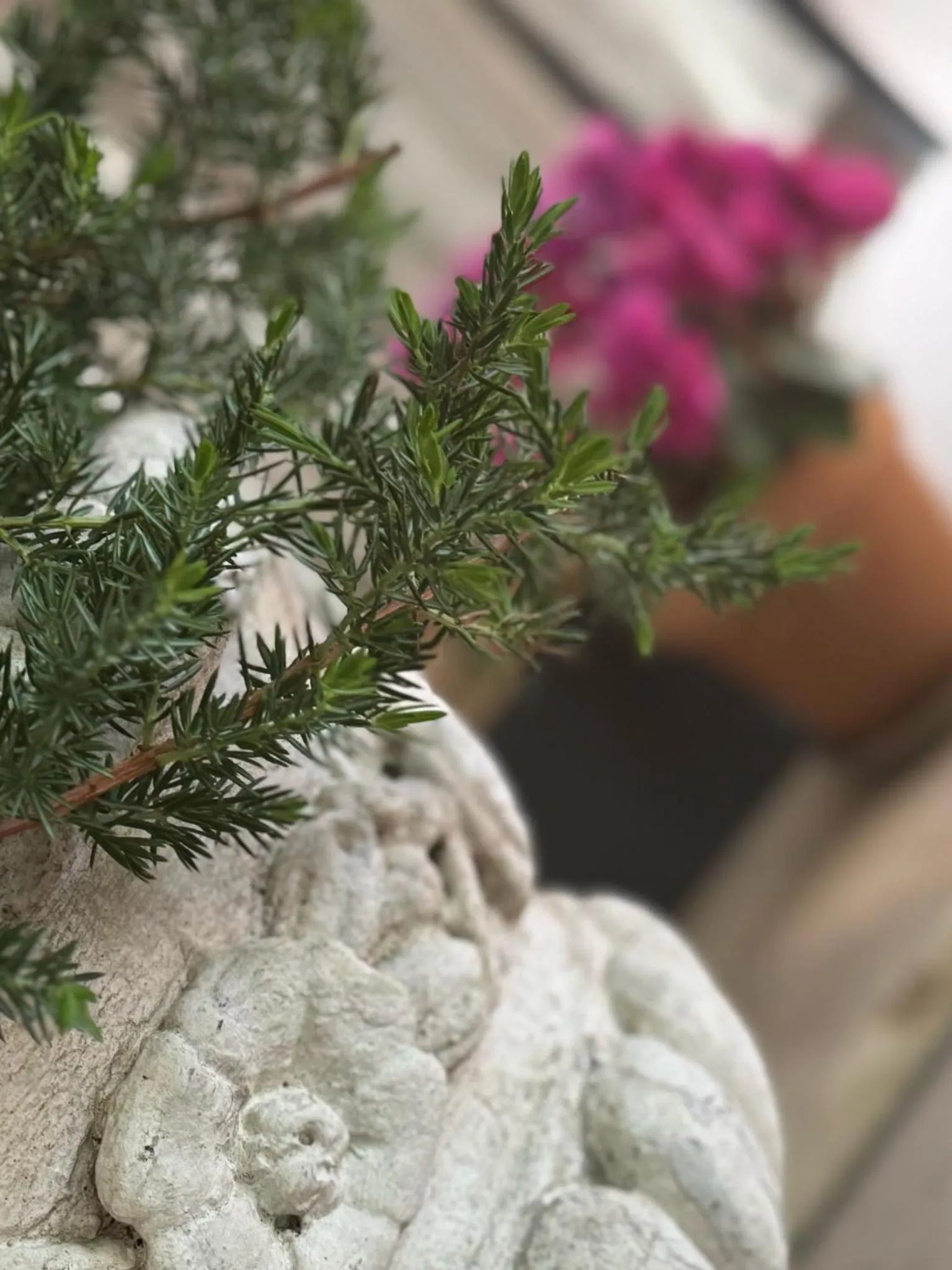 Decorative detail in Hotel Eureka