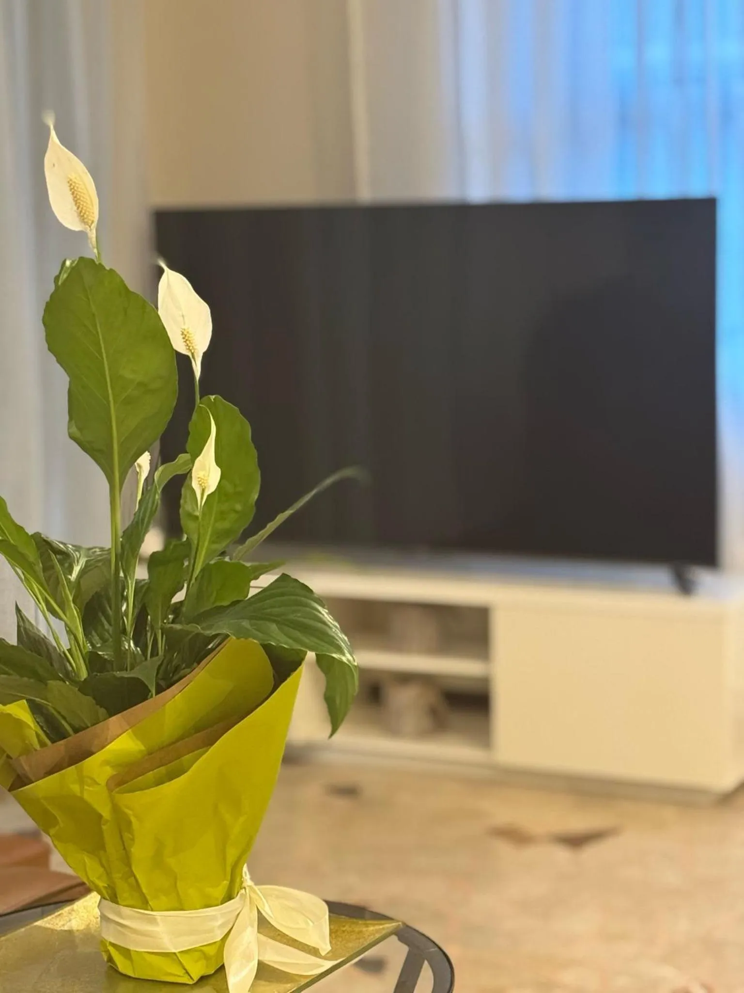 Communal lounge/ TV room in Hotel Eureka