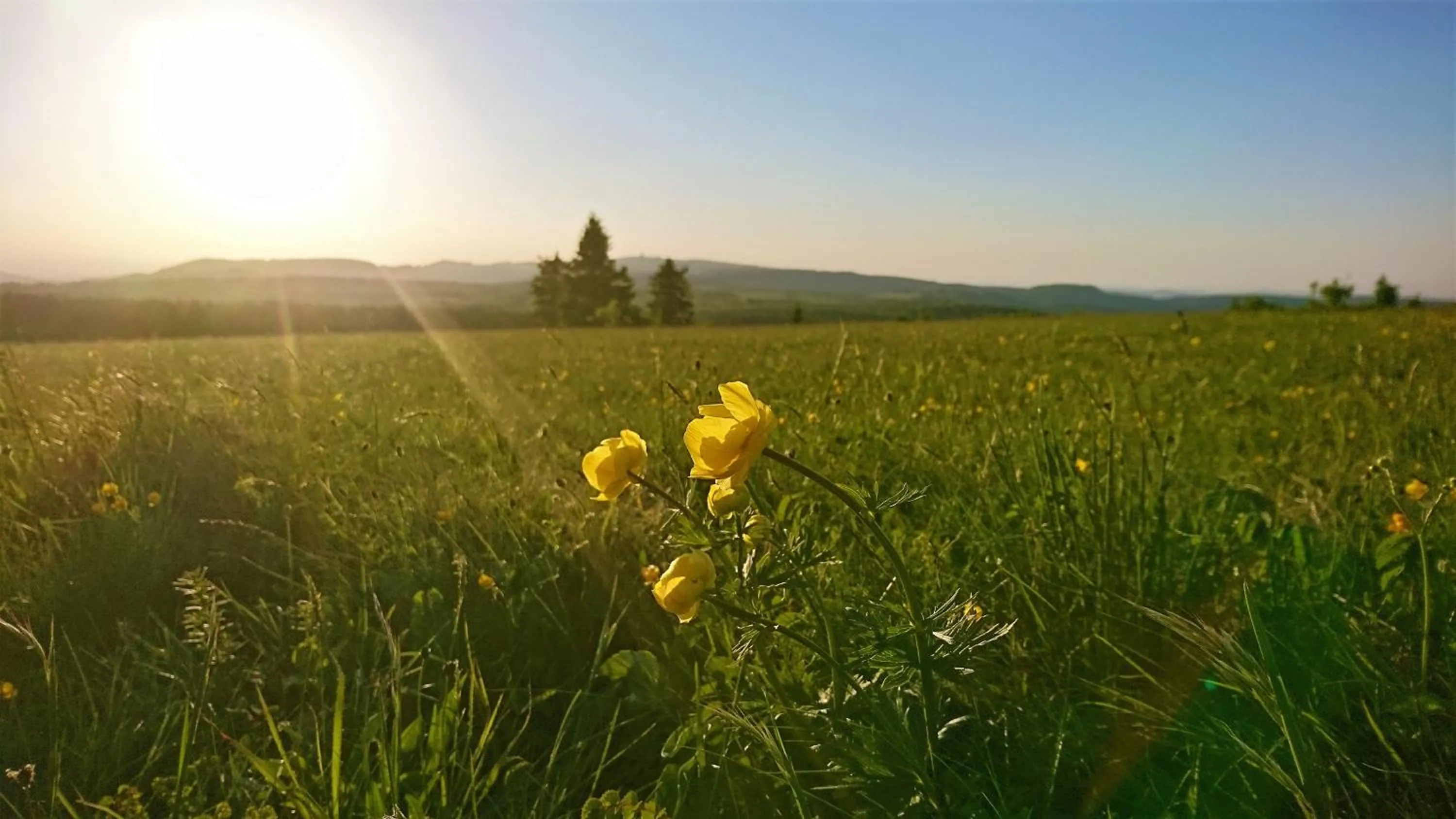 Natural landscape in Pension Weinig