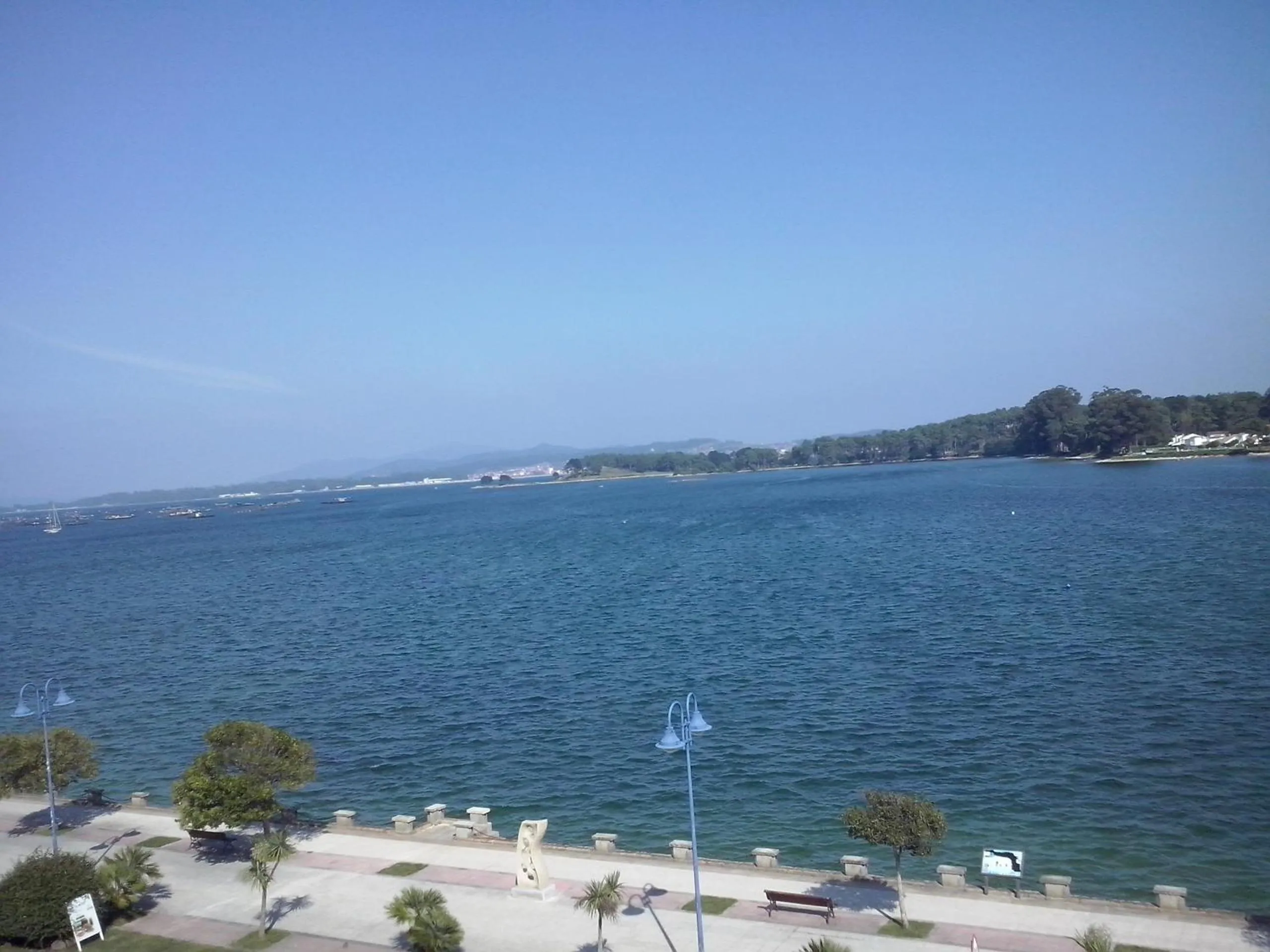 Natural landscape in Hotel Brisa del Mar