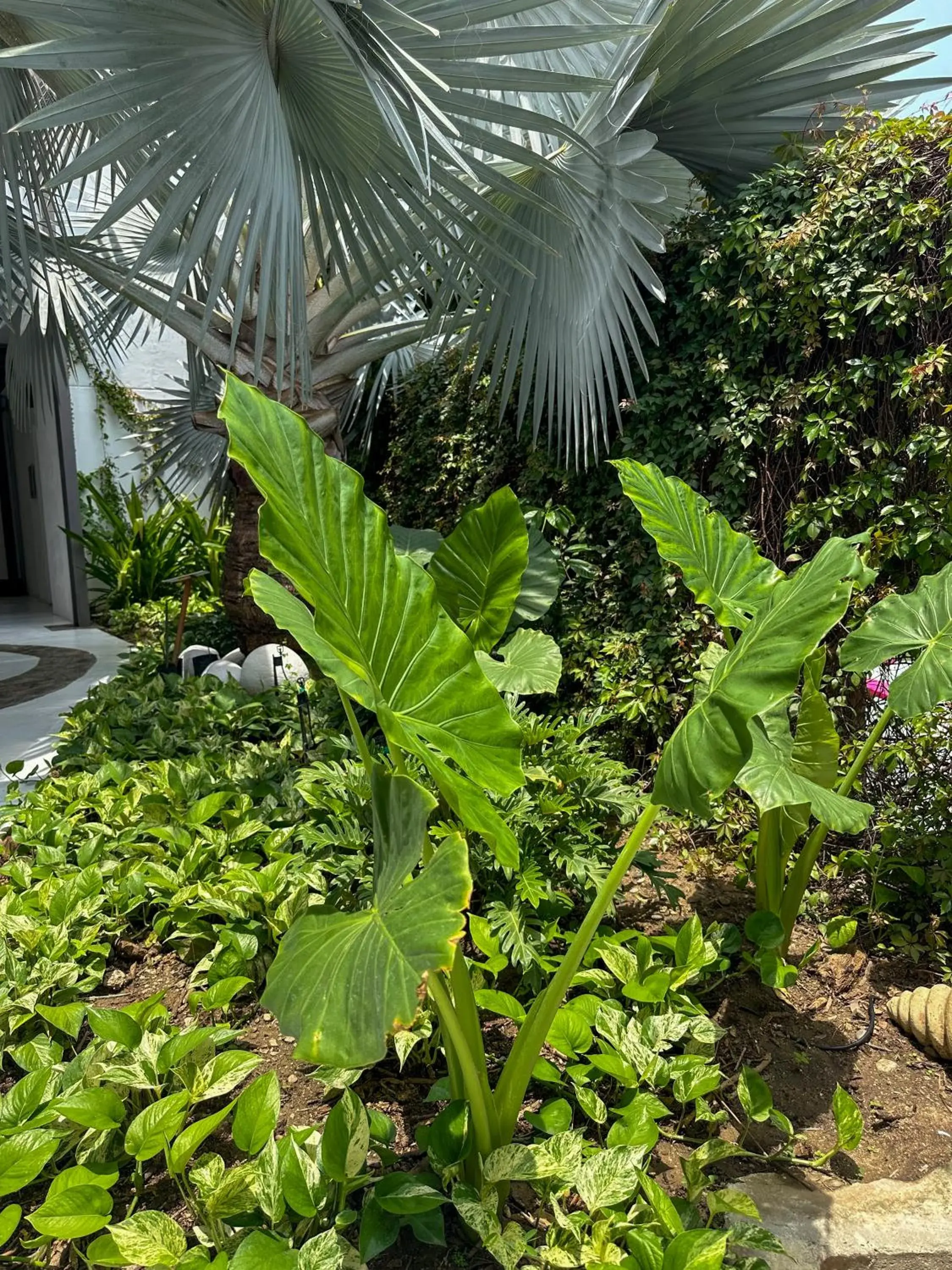 Best Western Posada Chahue Best Western Posada Chahue