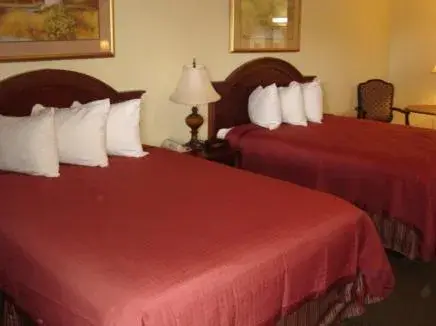Bed in America's Best Value Inn and Suites Bed in America's Best Value Inn and Suites