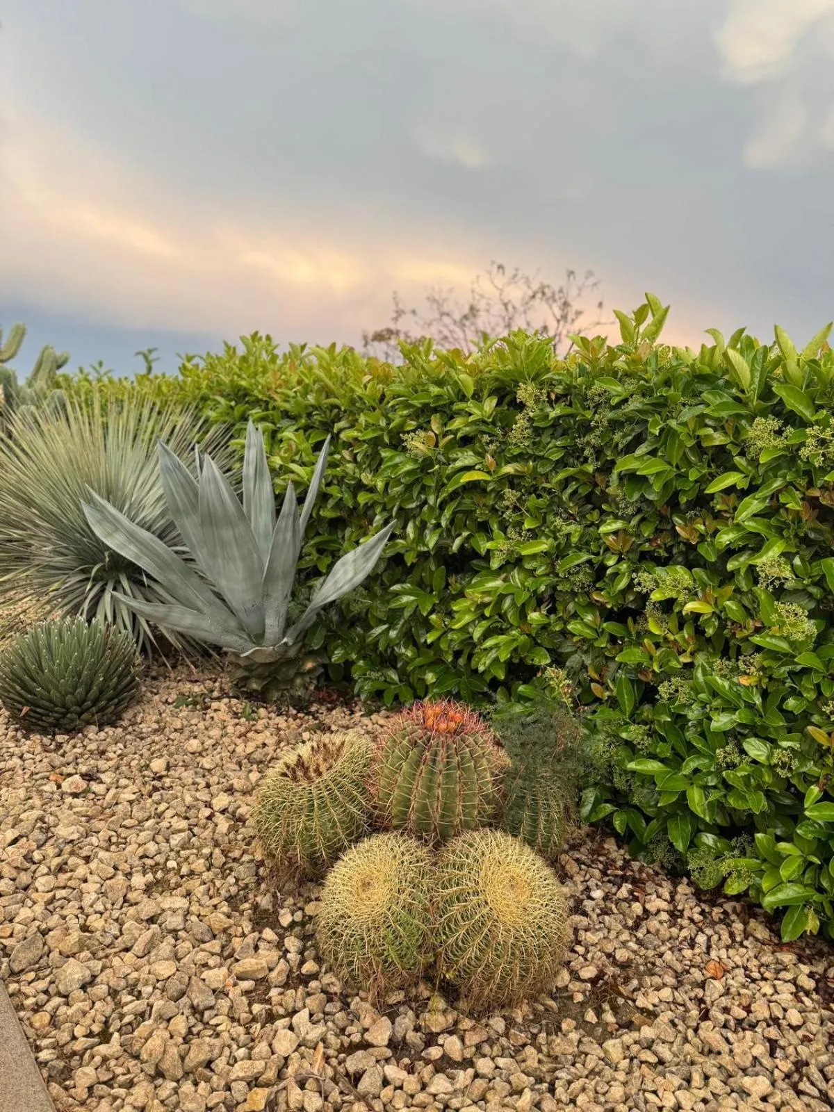 Natural landscape in Villa Landolina