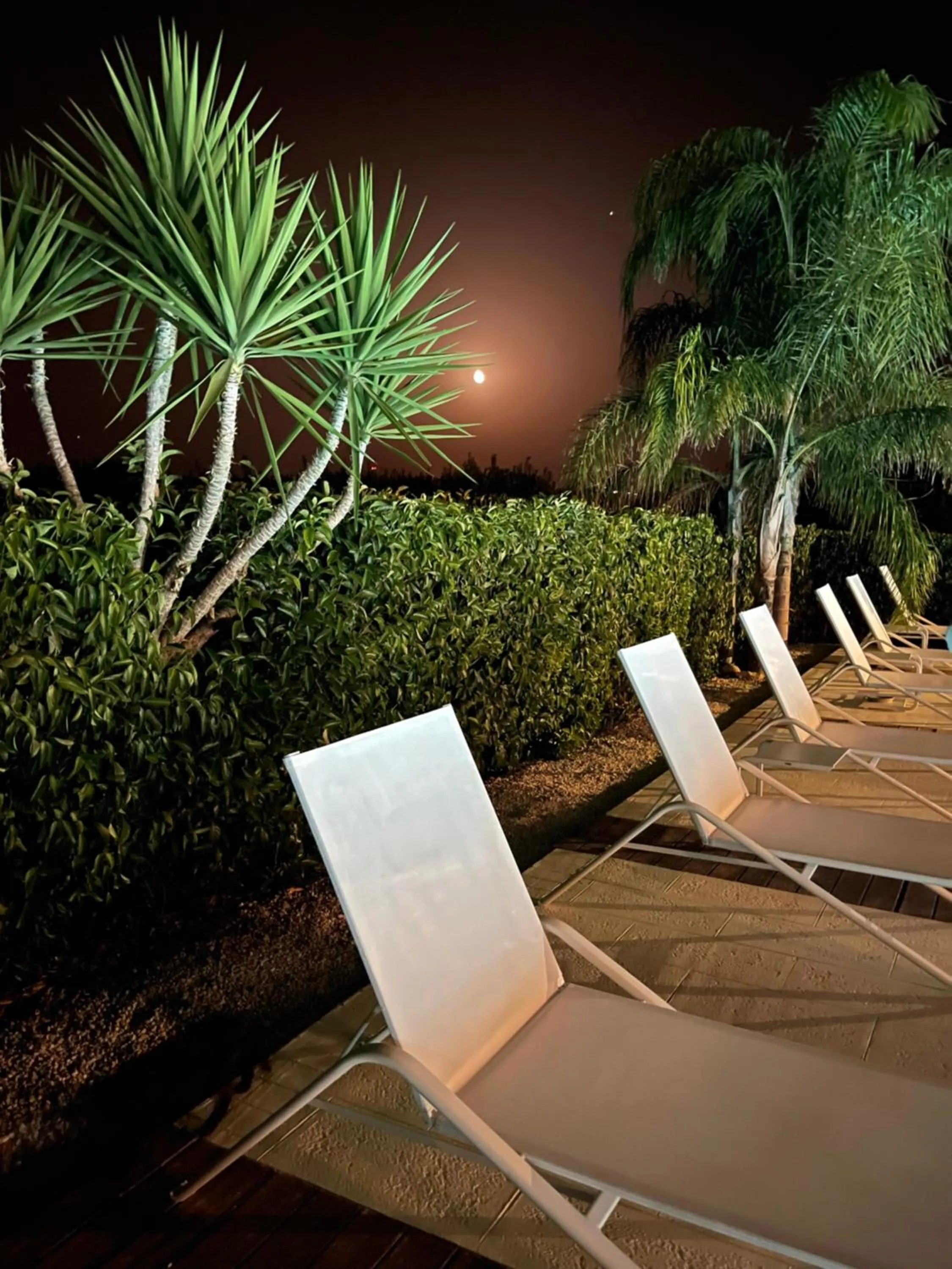 Swimming pool in Villa Landolina