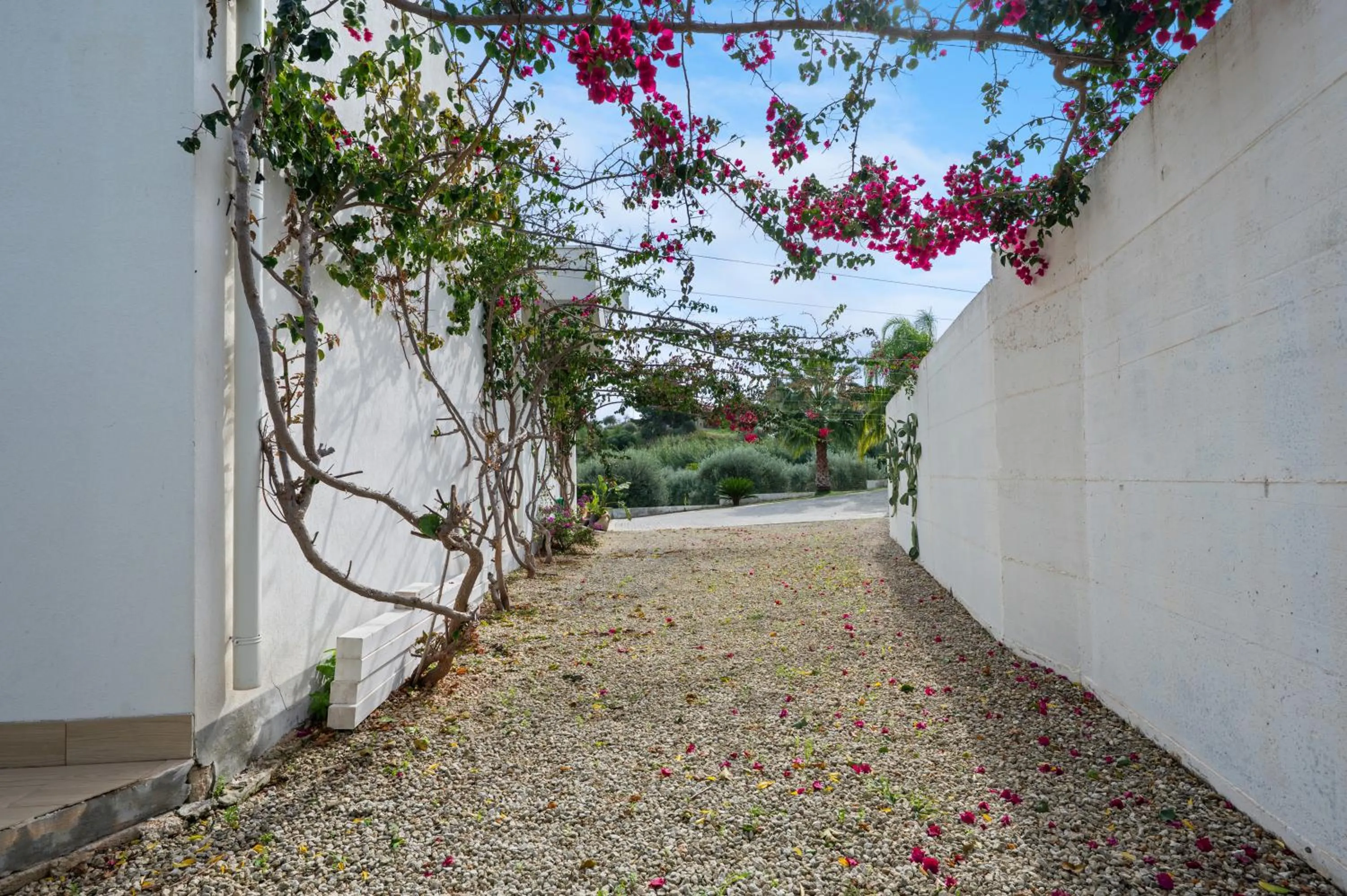 Garden in Villa Landolina