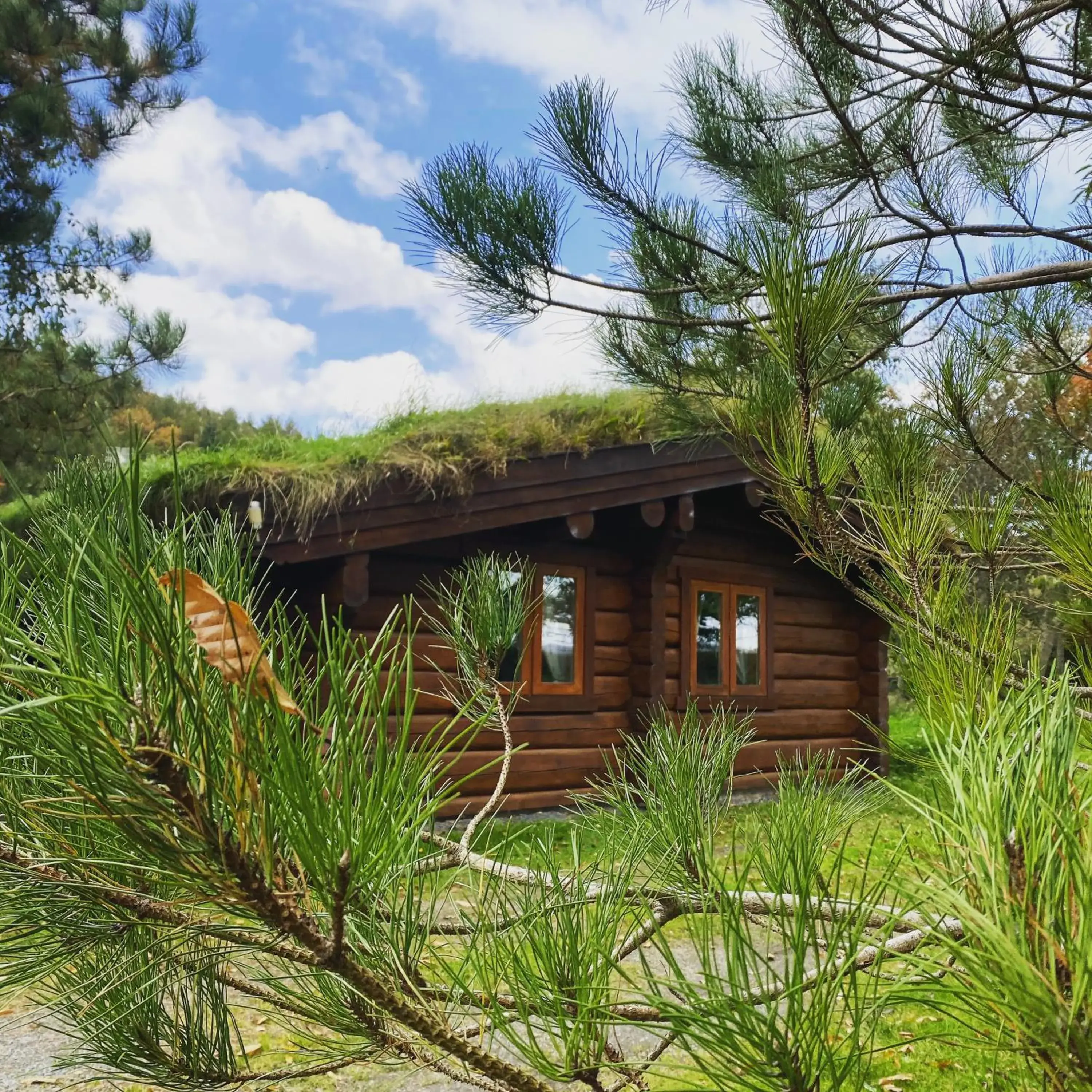 Log home village Log home village