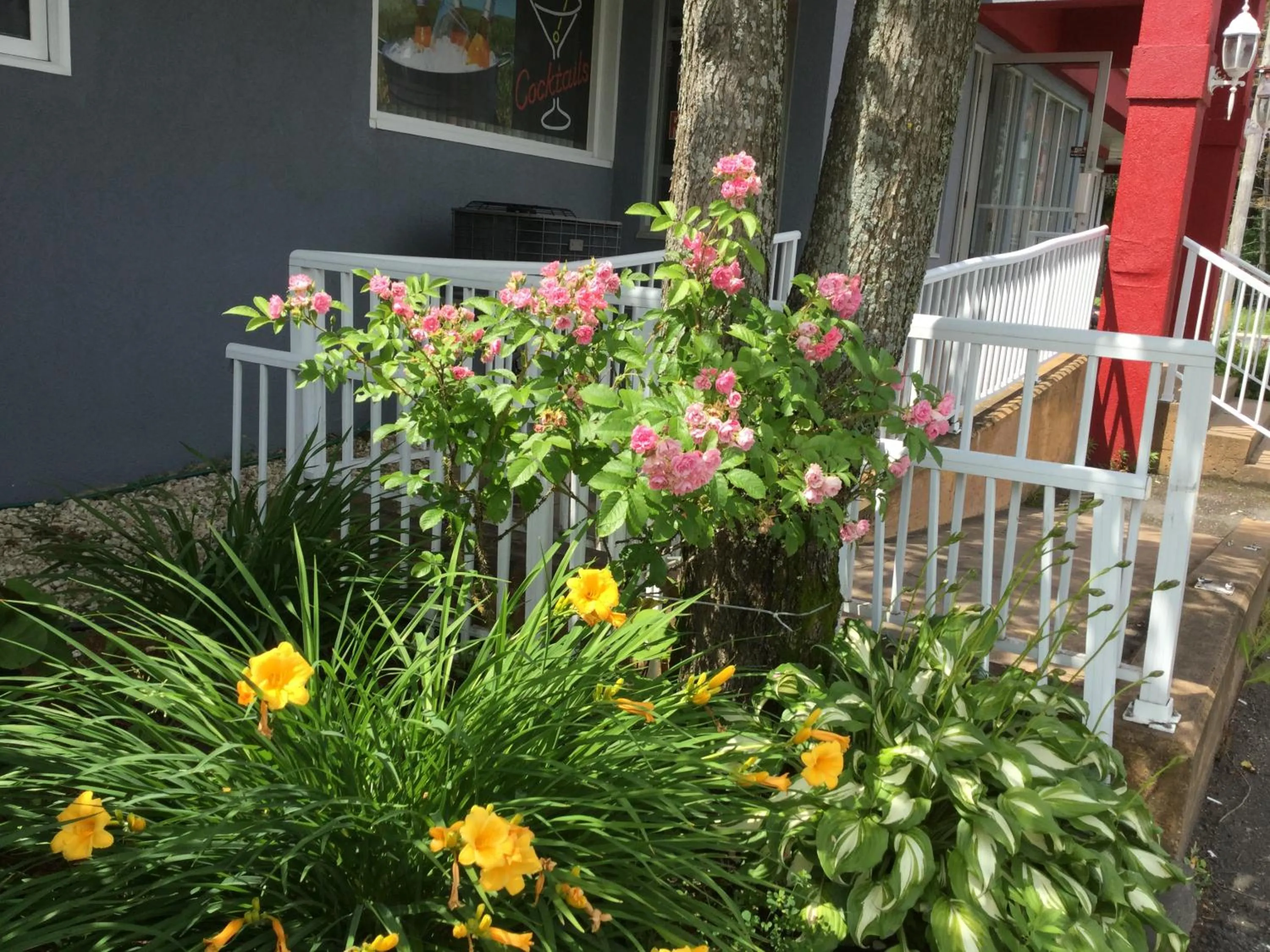 Garden in Hotel Motel Hospitalité