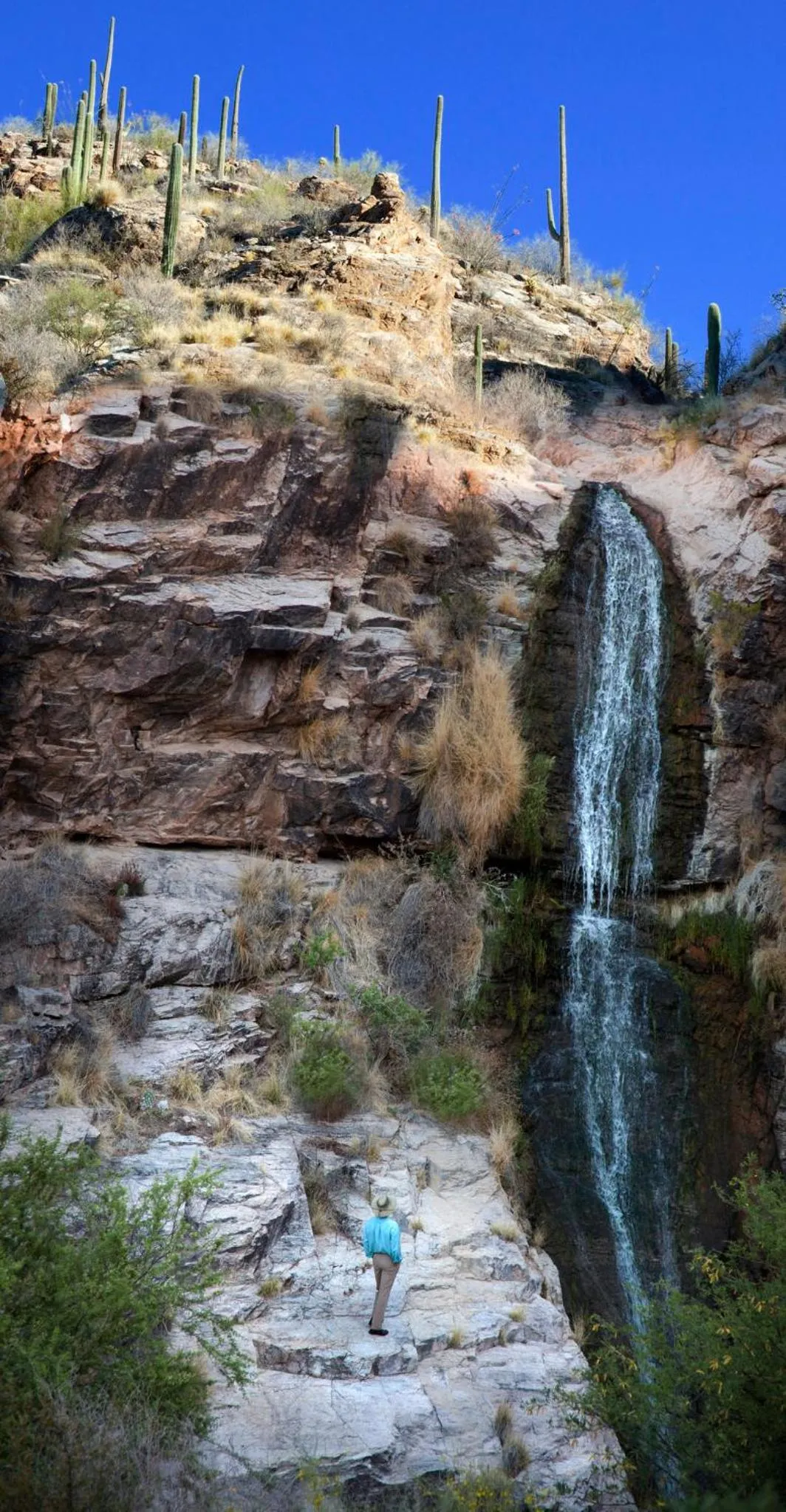 Fitness centre/facilities in Loews Ventana Canyon Resort
