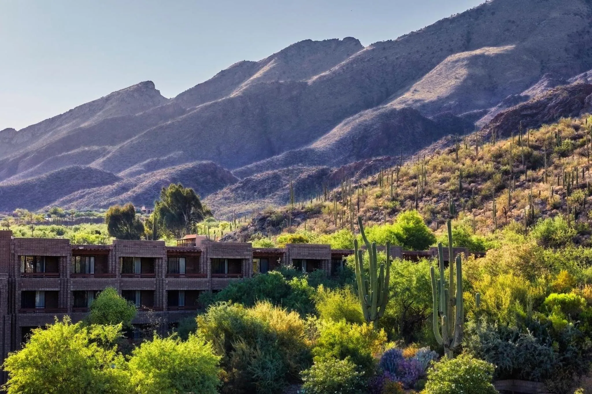 Property building in Loews Ventana Canyon Resort