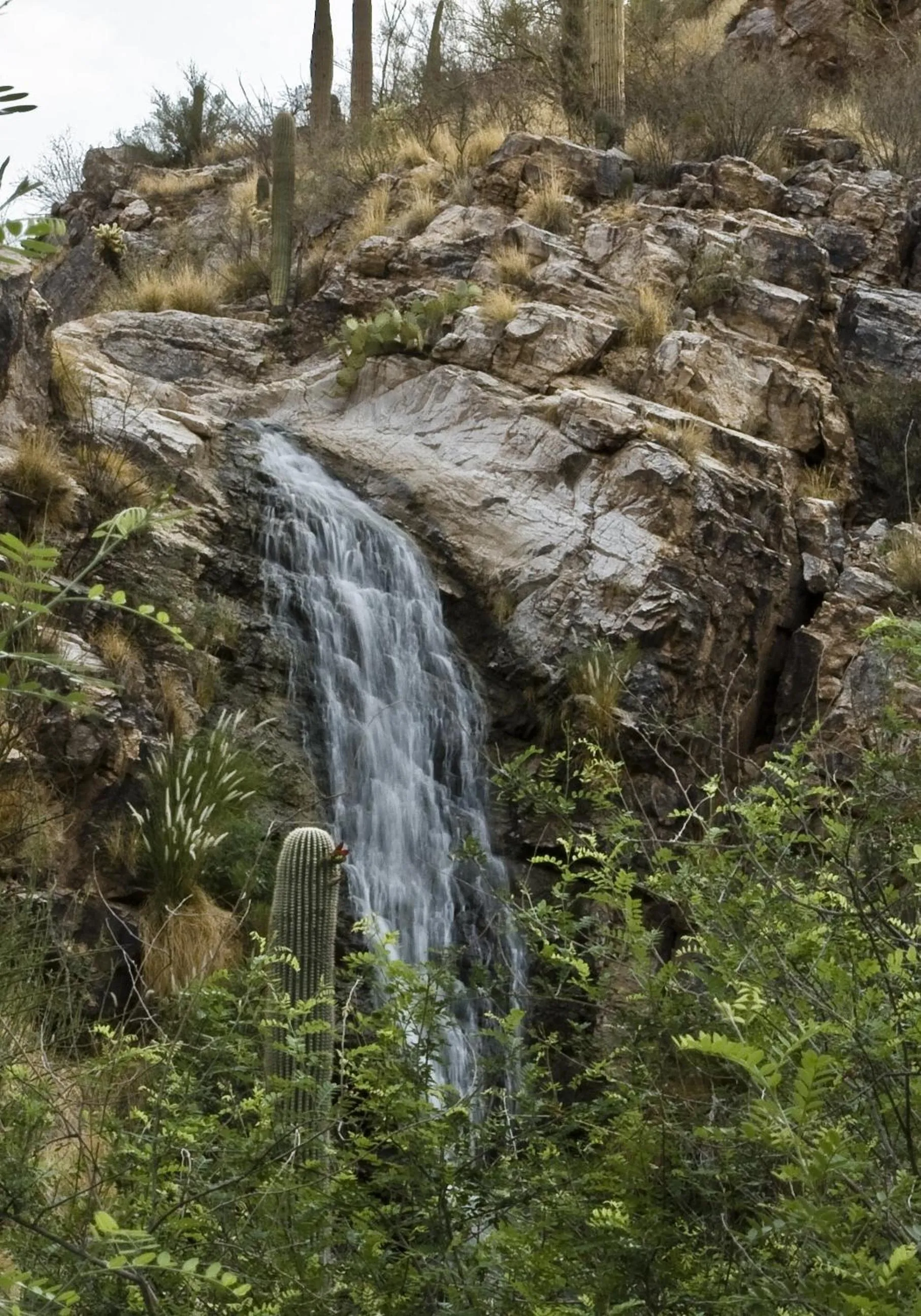 Fitness centre/facilities in Loews Ventana Canyon Resort