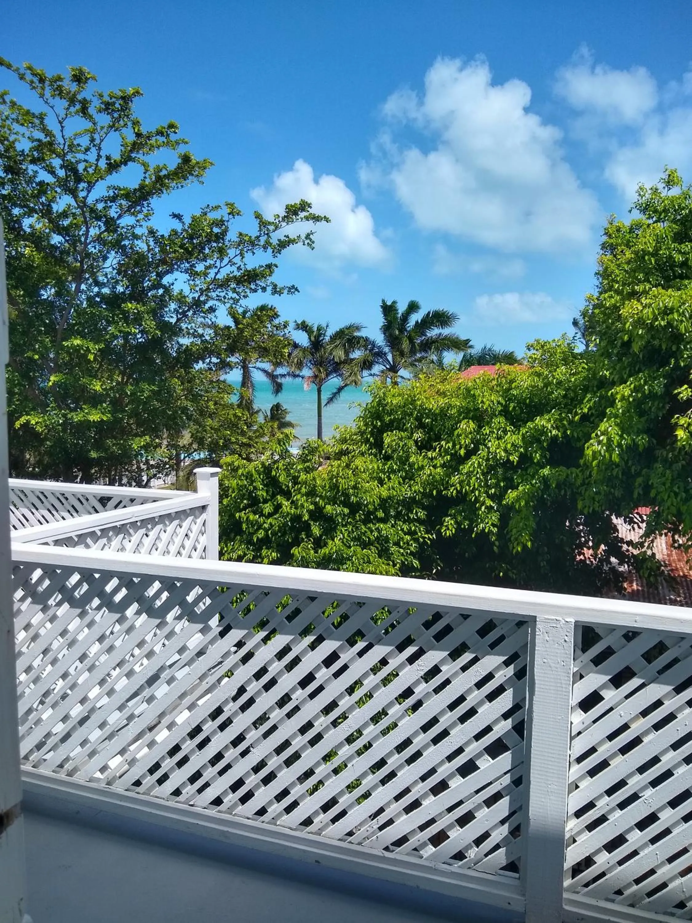 Balcony/Terrace in The Great House Inn