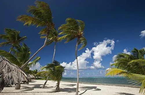 Sea view in Club St. Croix Beach and Tennis Resort