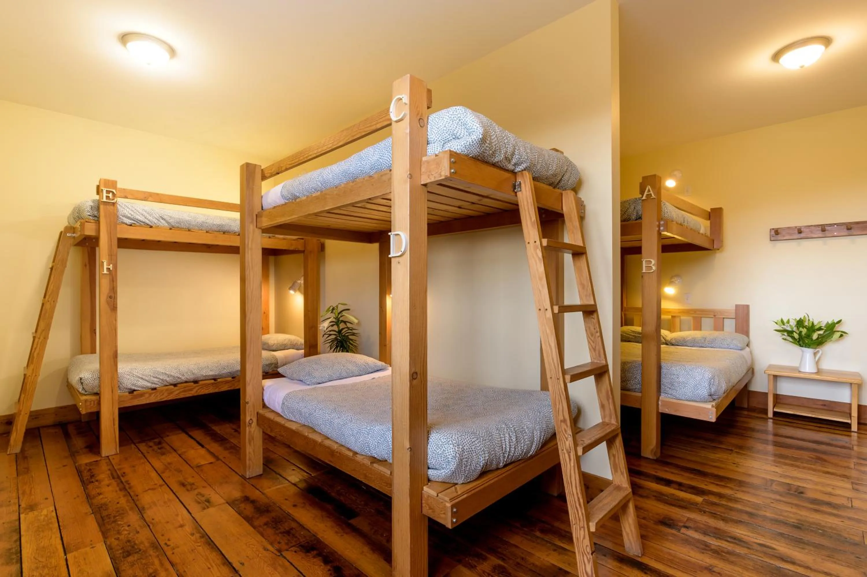 Bed in Riding Fool Accommodation