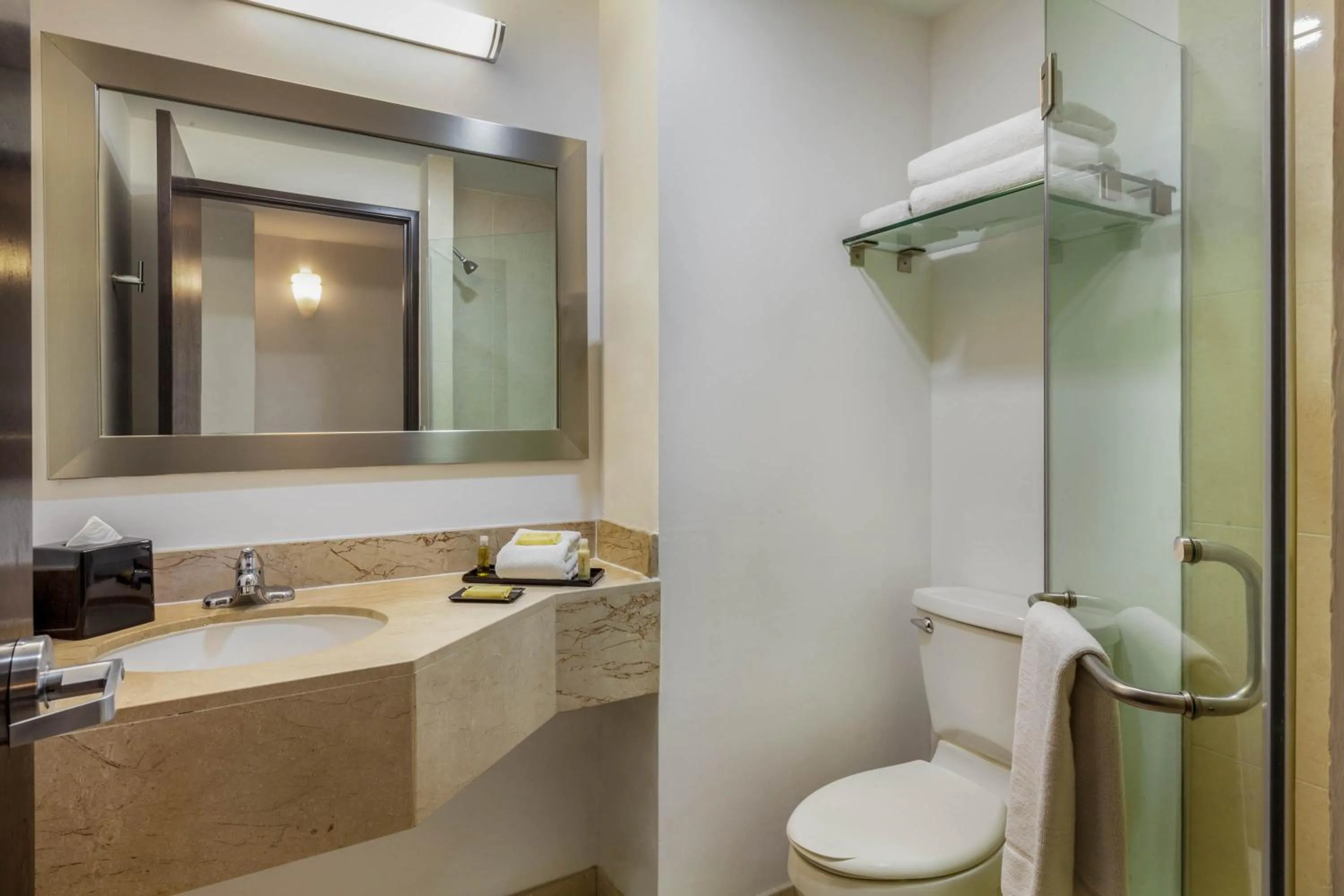 Toilet in La Quinta by Wyndham Puebla Palmas Angelopolis