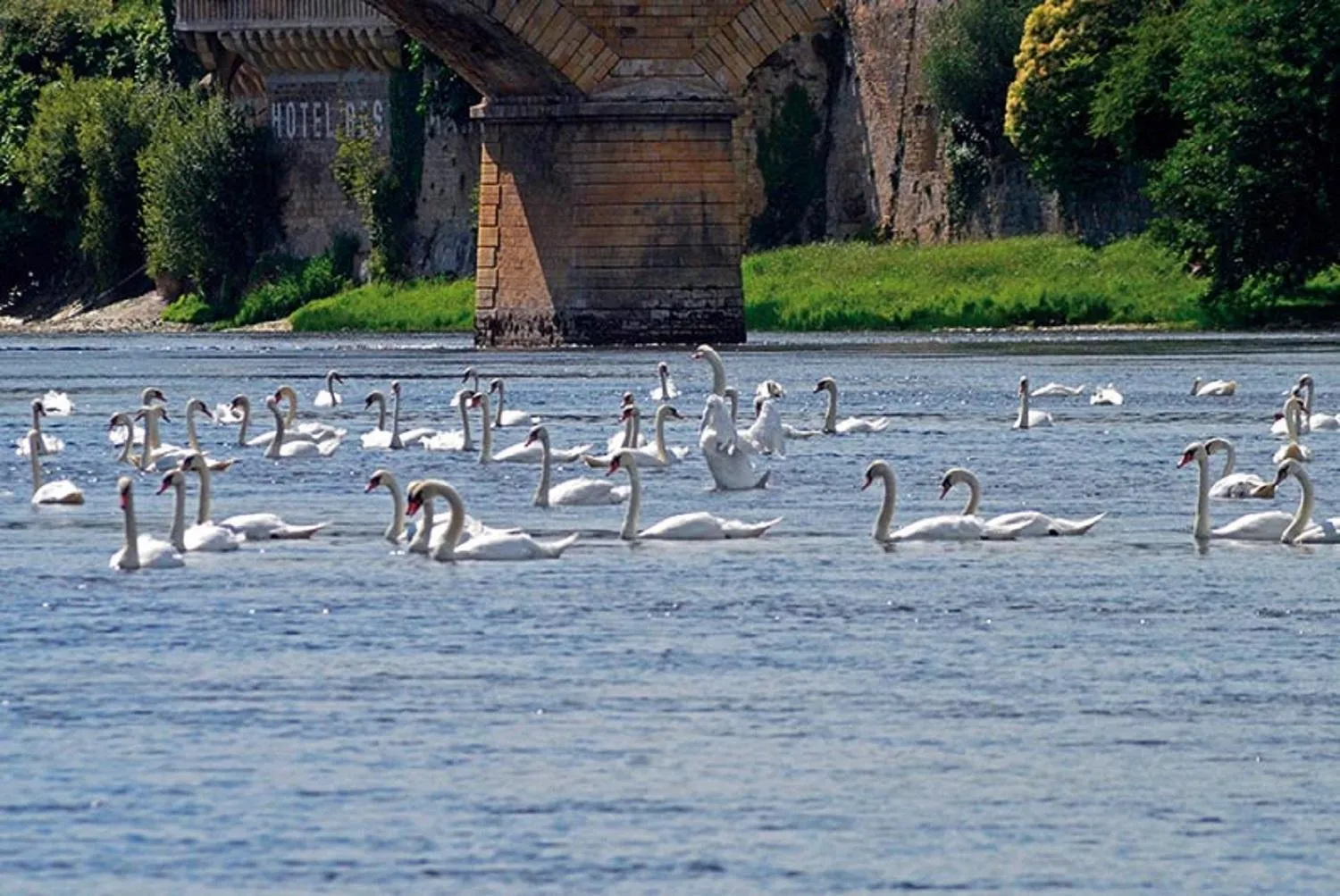 Natural landscape in Les Magnolias holiday homes