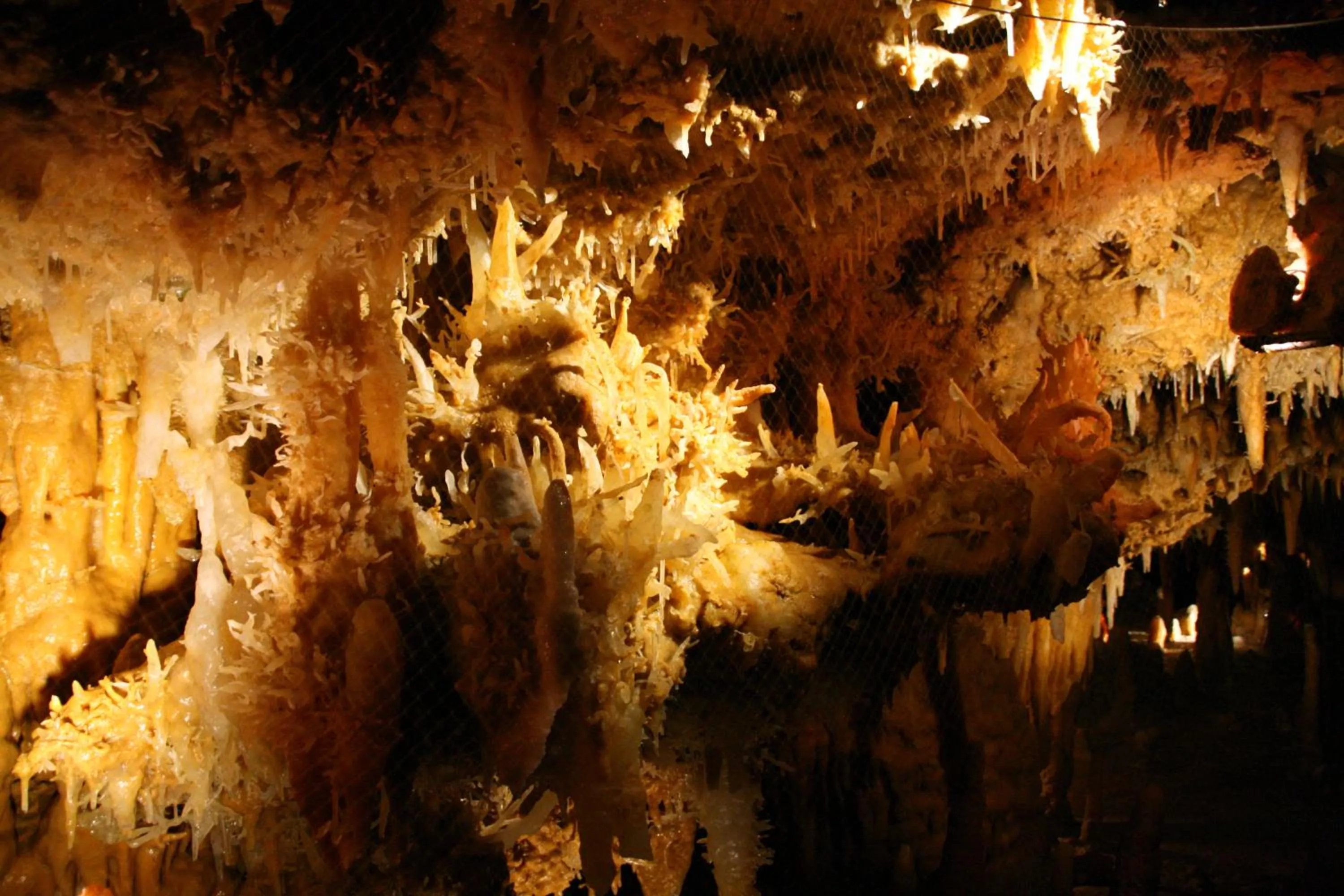 Nearby landmark in Les Magnolias holiday homes