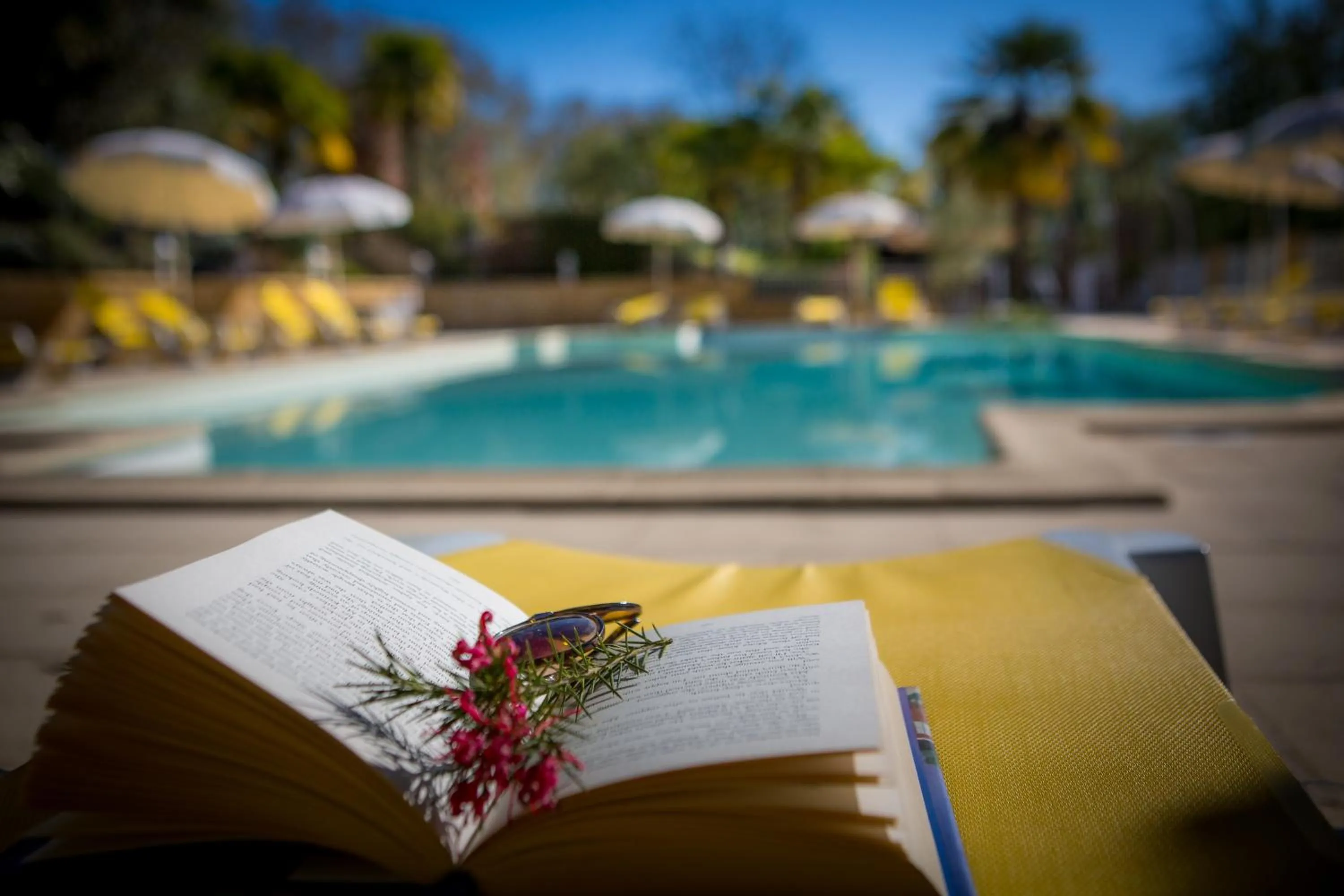 Pool view in Les Magnolias holiday homes
