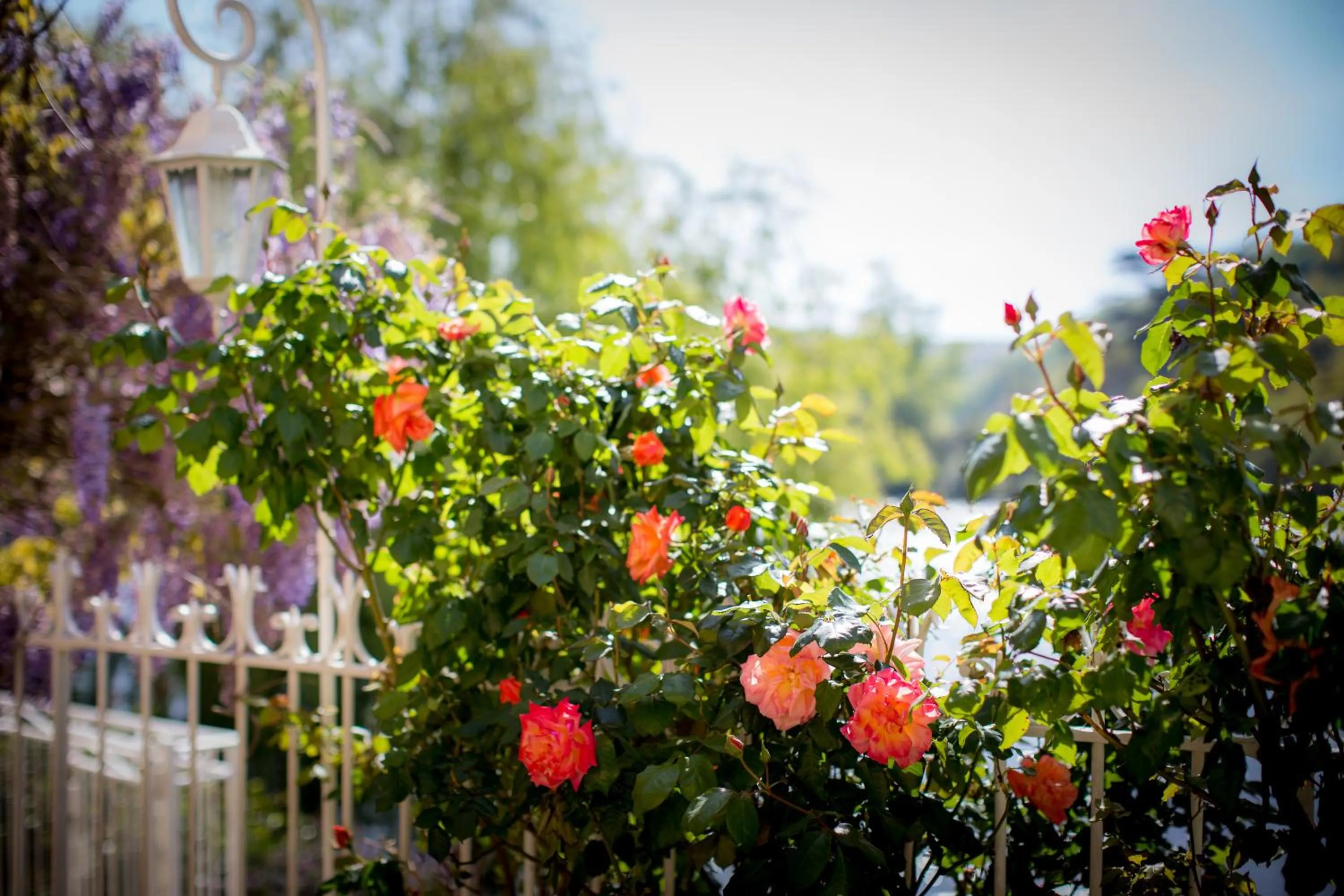 Garden in Les Magnolias holiday homes