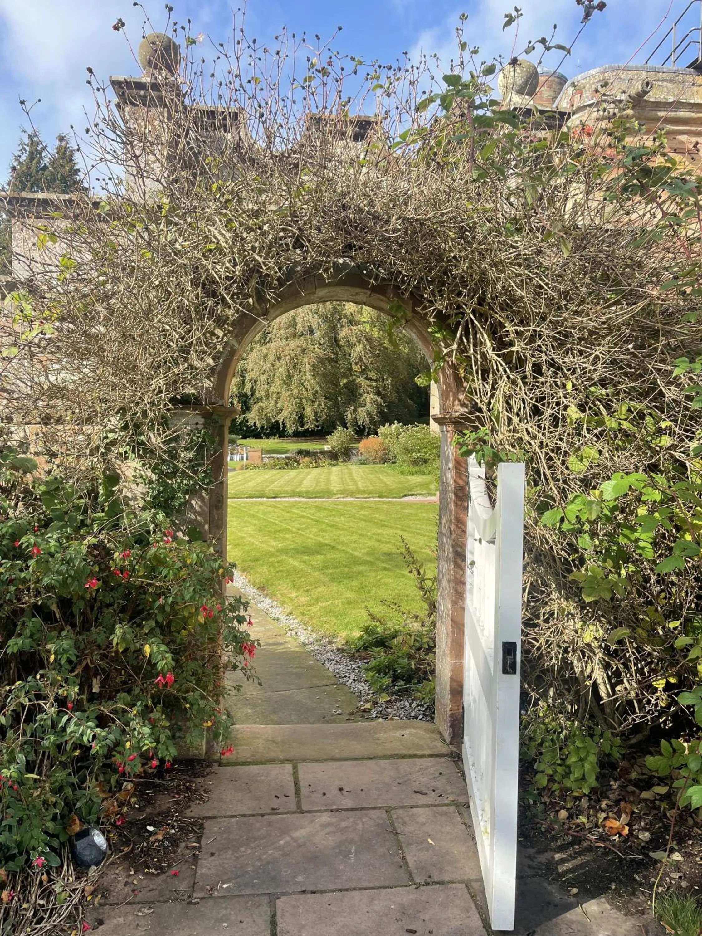 Garden in Dalston Hall