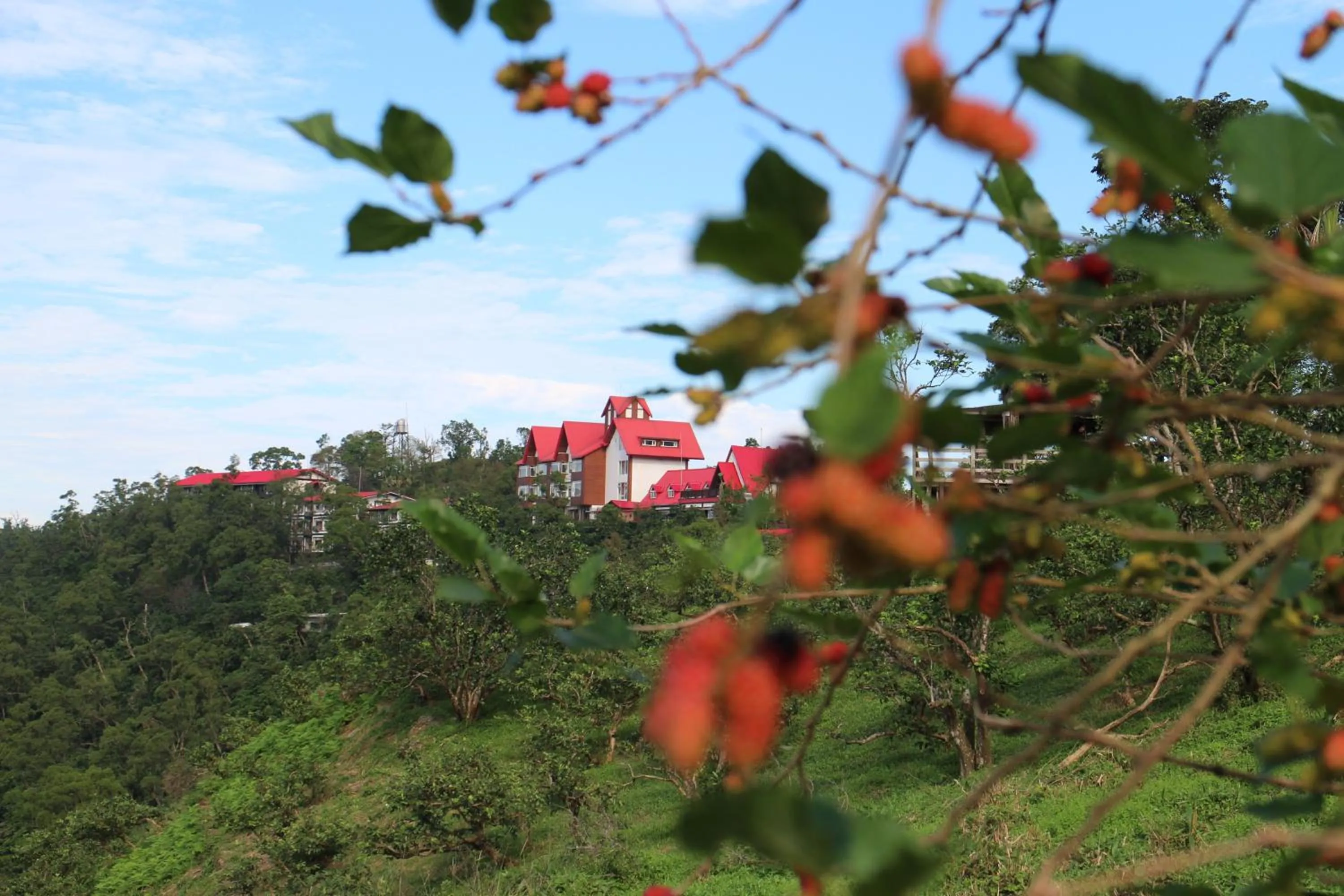 Garden in Shangrila Leisure Farm