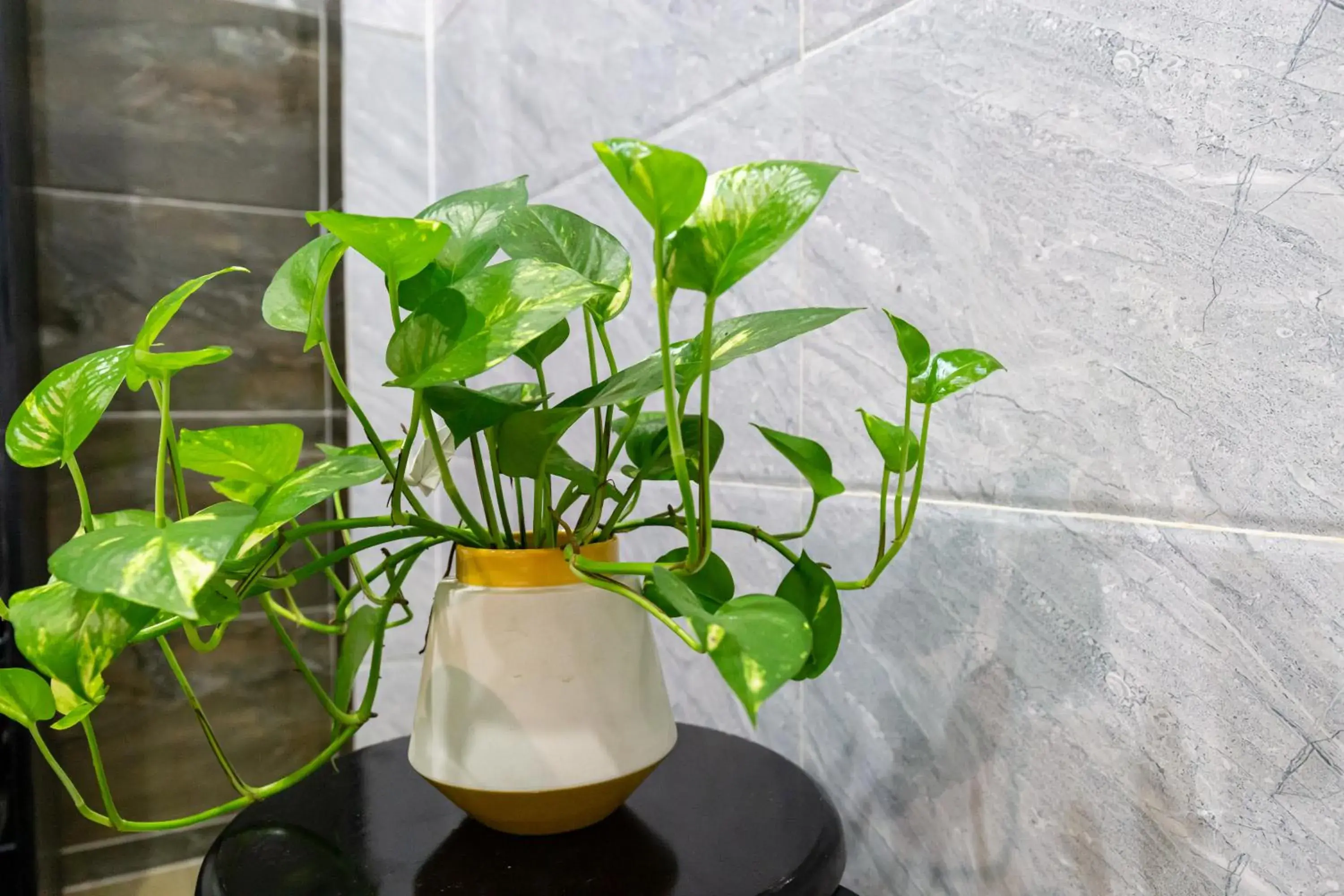 Property building in Cola's Homestay Property building in Cola's Homestay