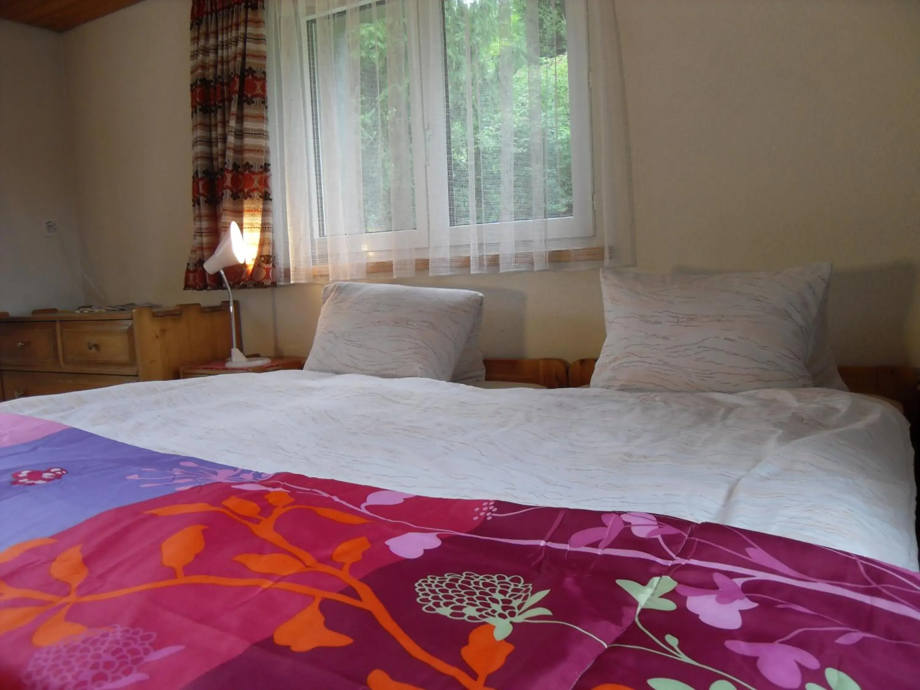 Family Room in Hotel Alpina Family Room in Hotel Alpina