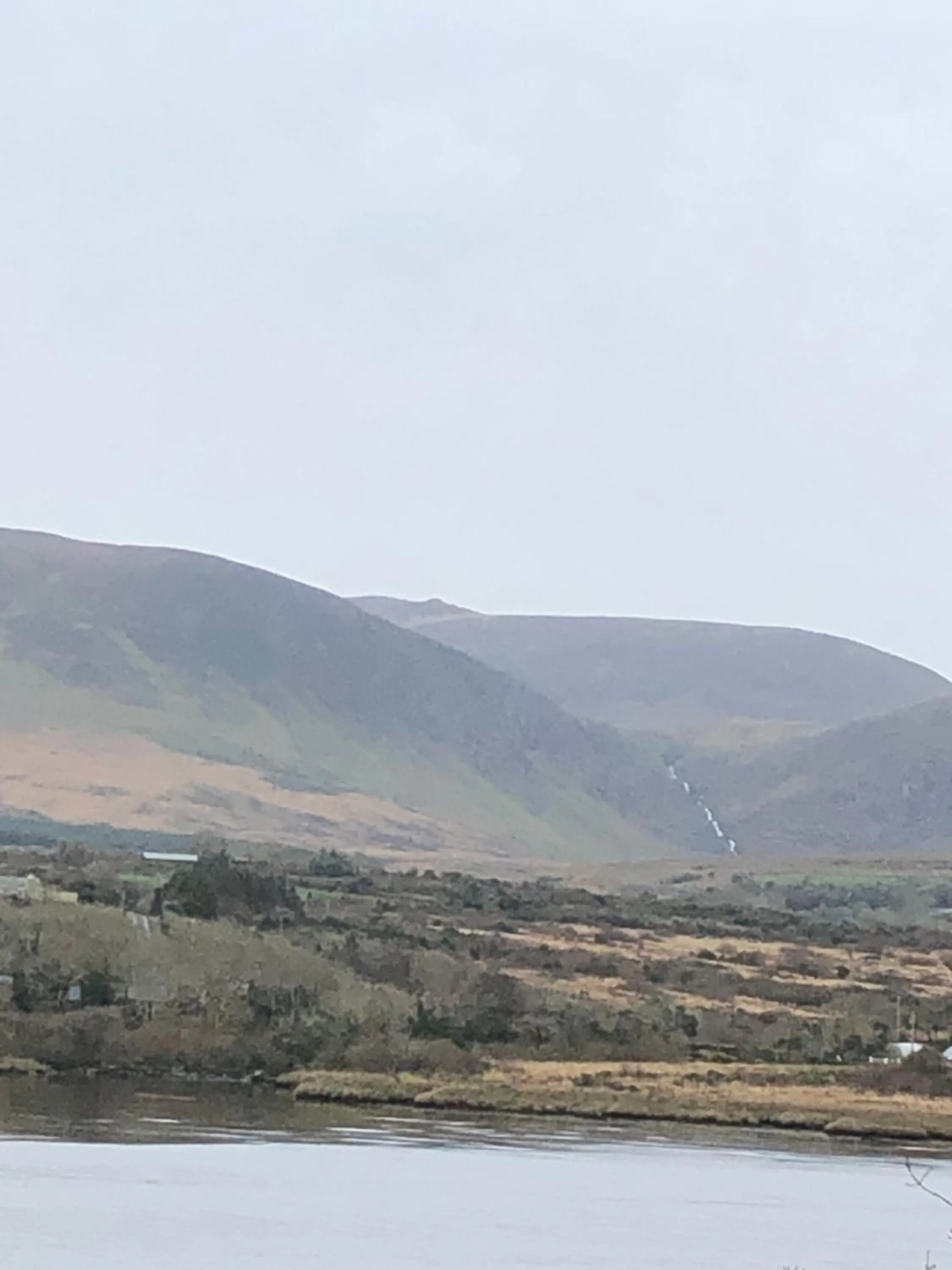 Natural landscape in O'Connors Guesthouse