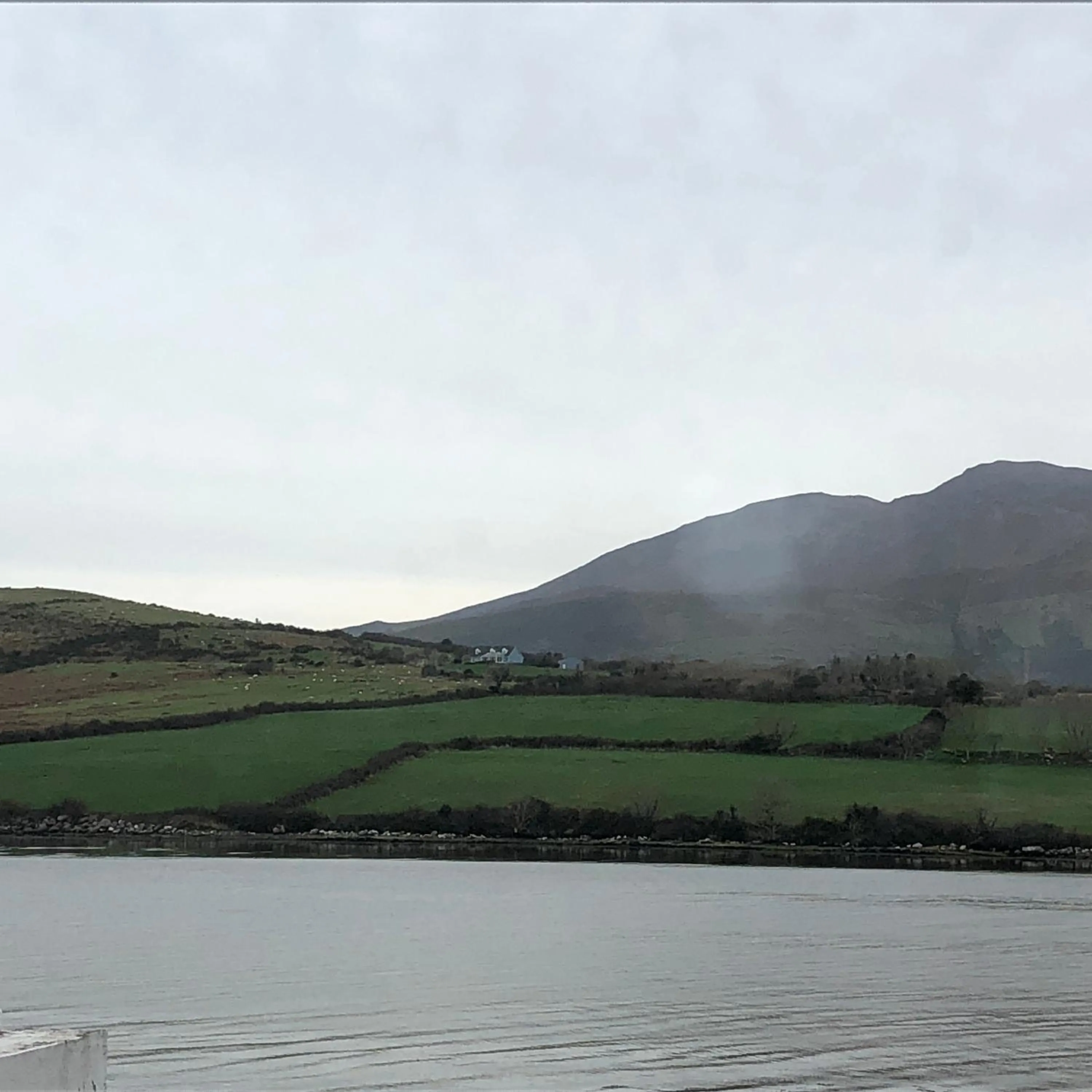 Natural landscape in O'Connors Guesthouse