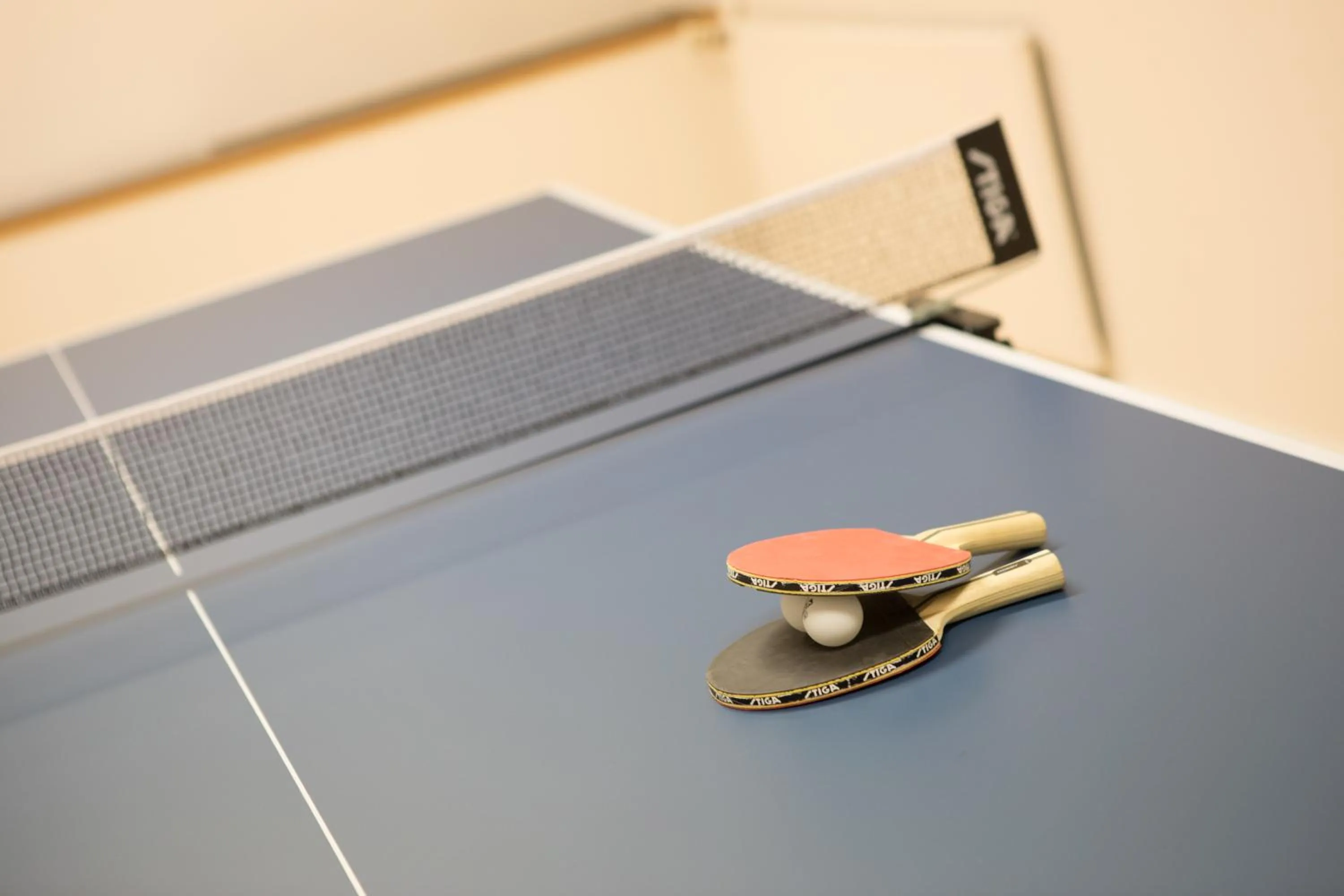 Area and facilities in Geilo Hotel