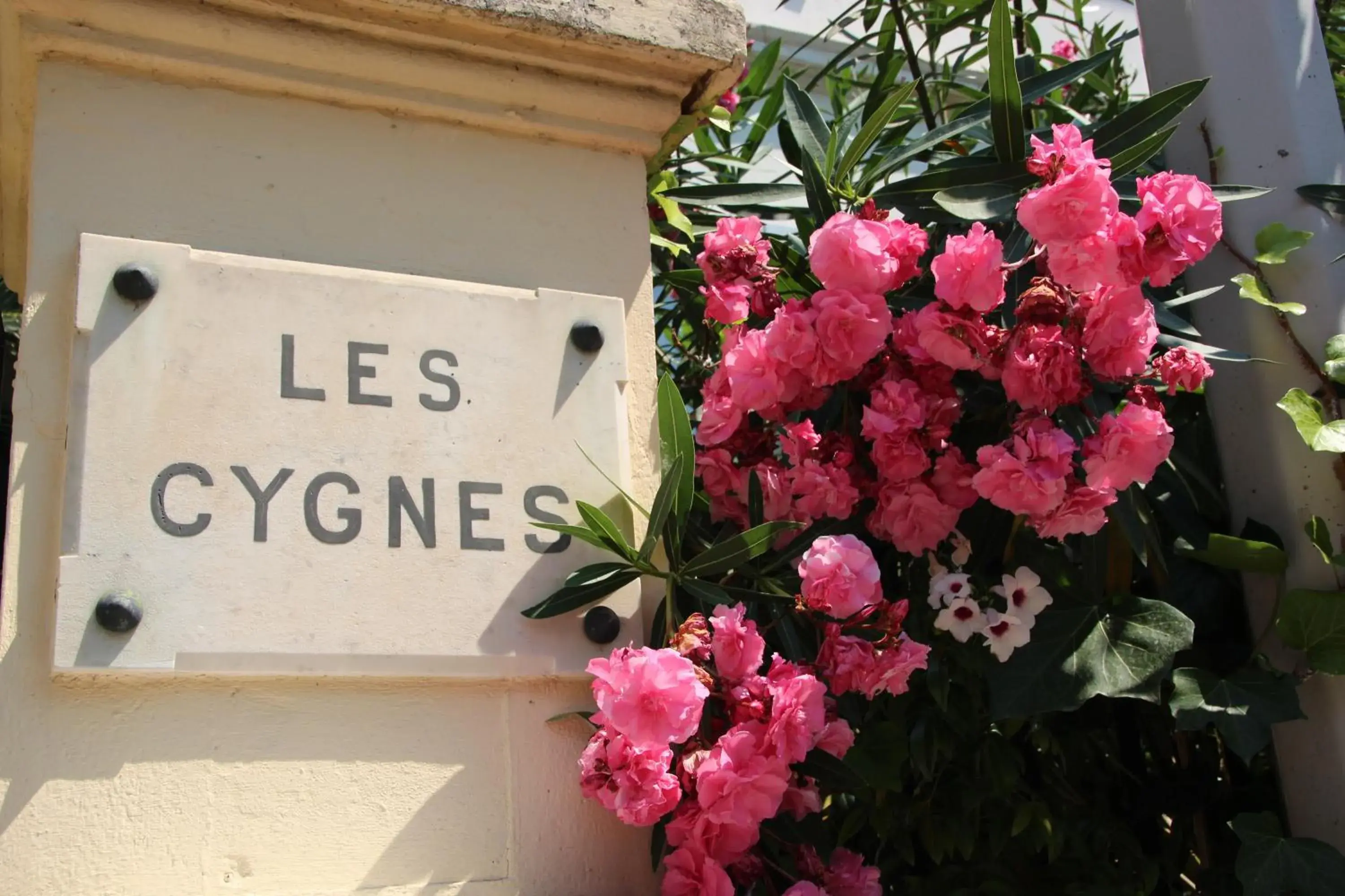 Facade/entrance in Hotel Villa Les Cygnes