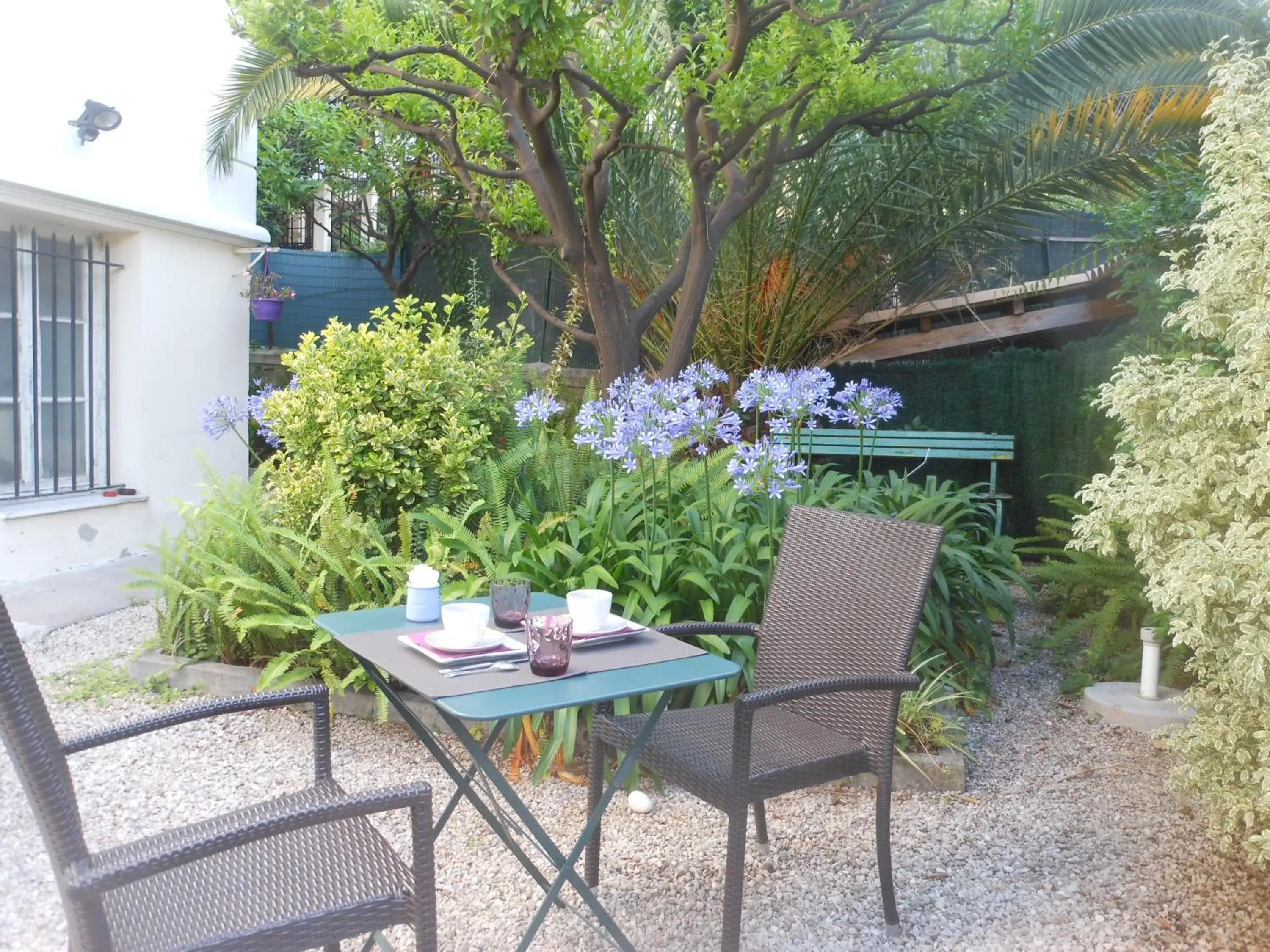 Garden view in Hotel Villa Les Cygnes