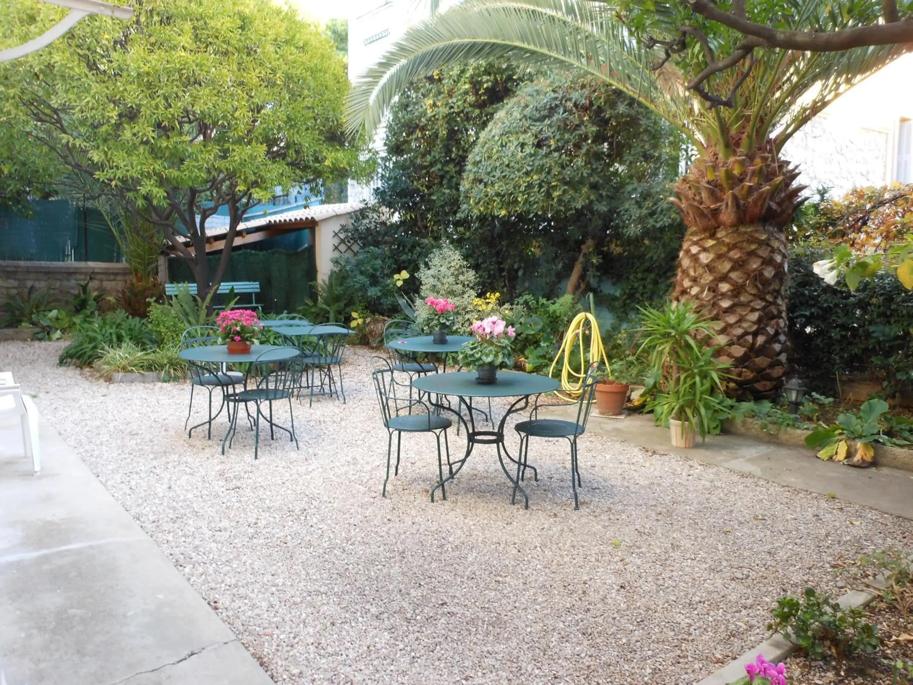 Garden in Hotel Villa Les Cygnes