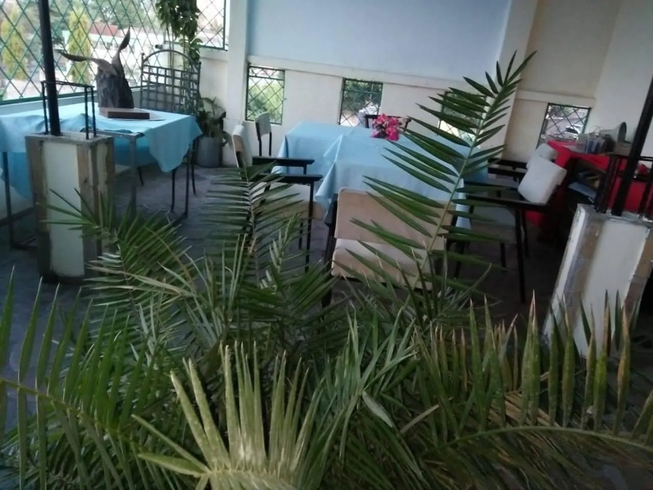 Restaurant/places to eat in Cingaki Hotel