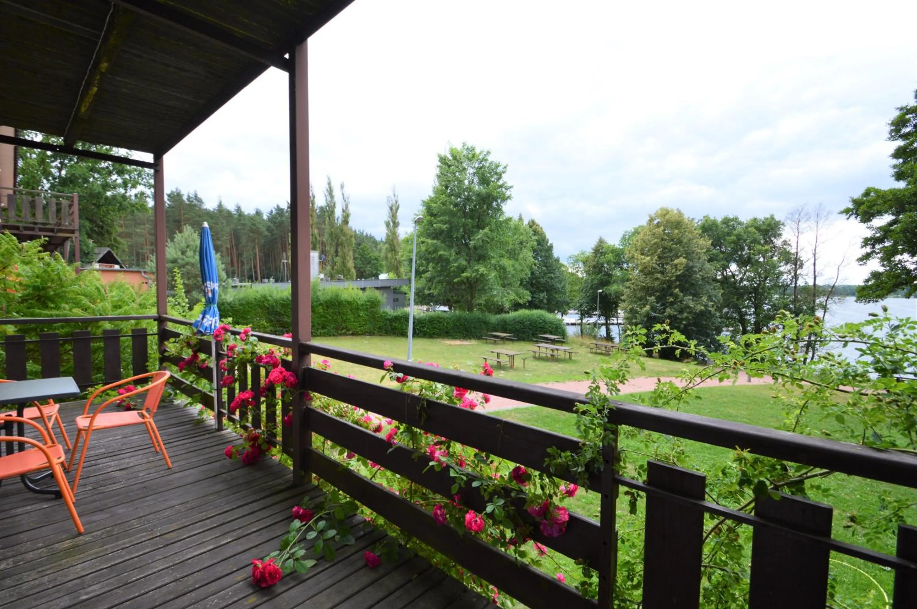 View (from property/room) in Dom Letniskowy HELENA