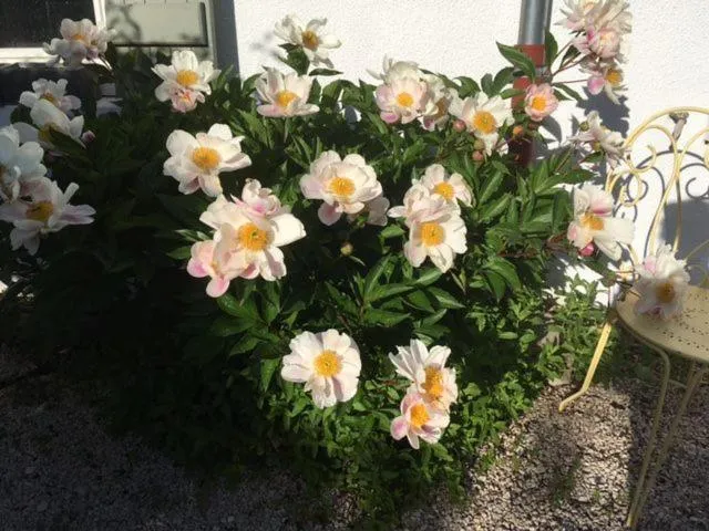 la Grange de Félicie