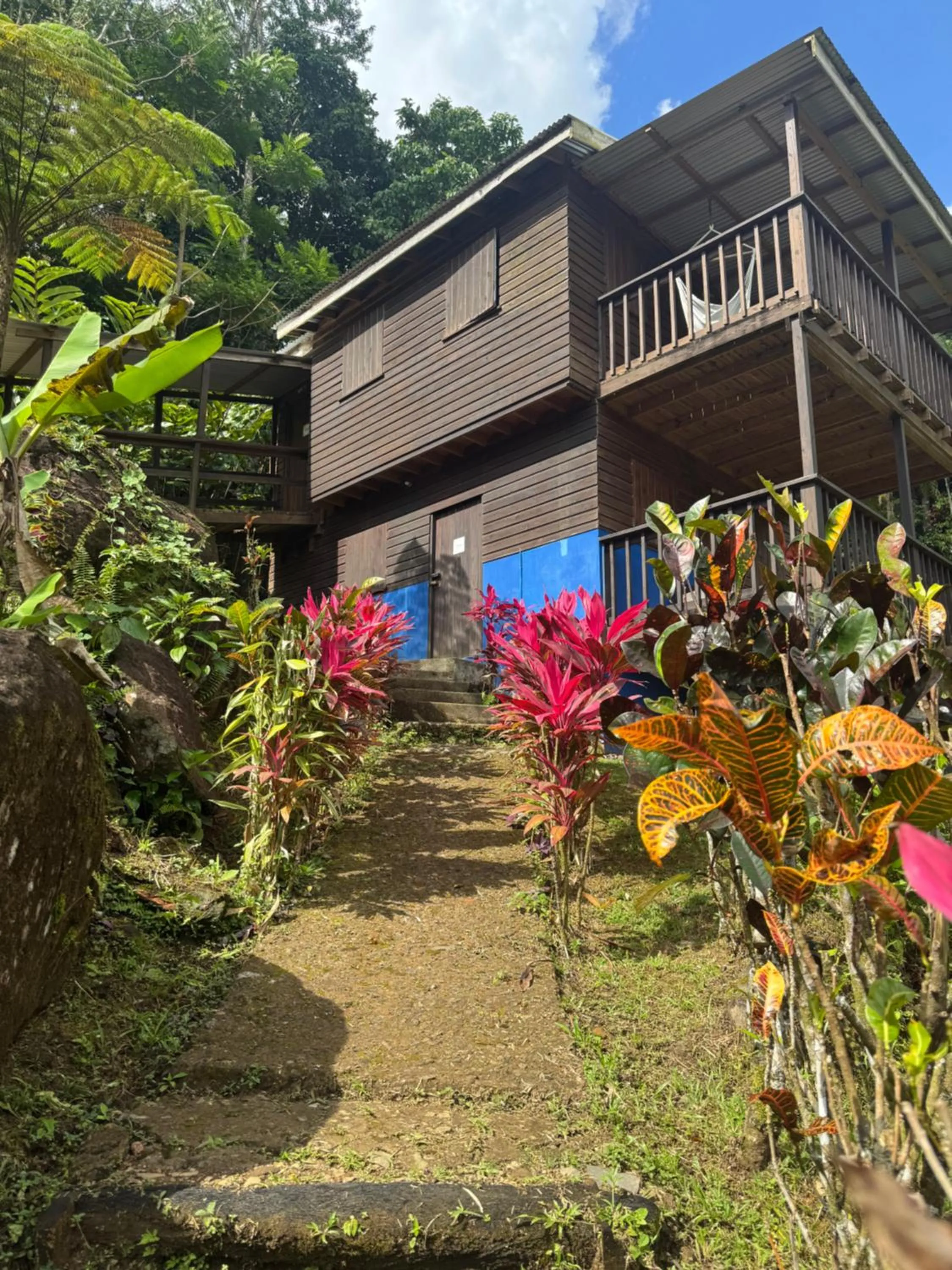 Roots Jungle Retreat