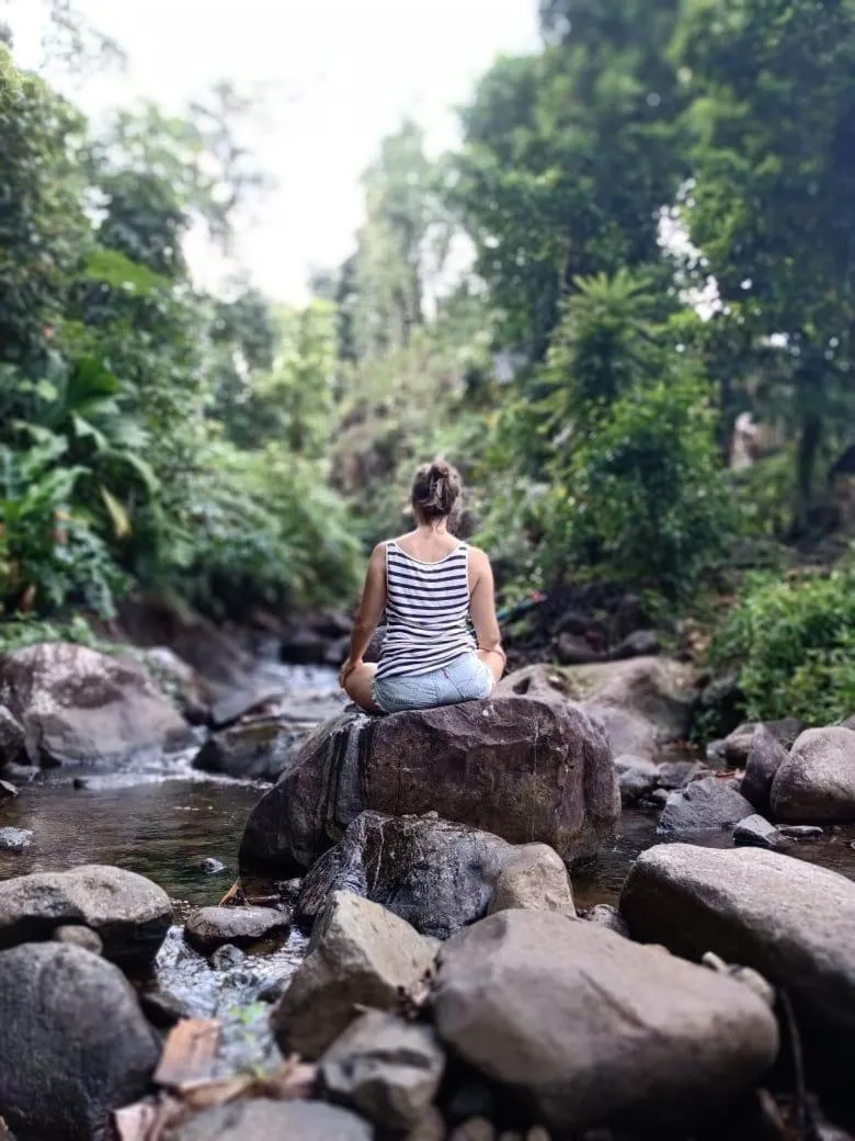 River view in Roots Jungle Retreat