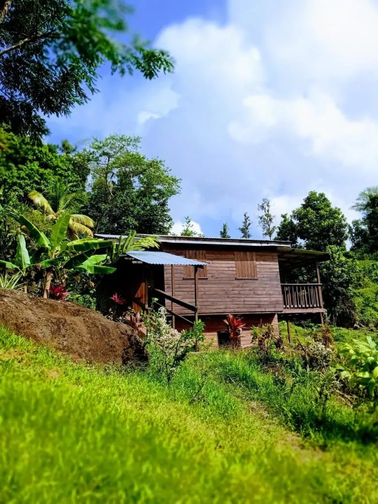 Property building in Roots Jungle Retreat