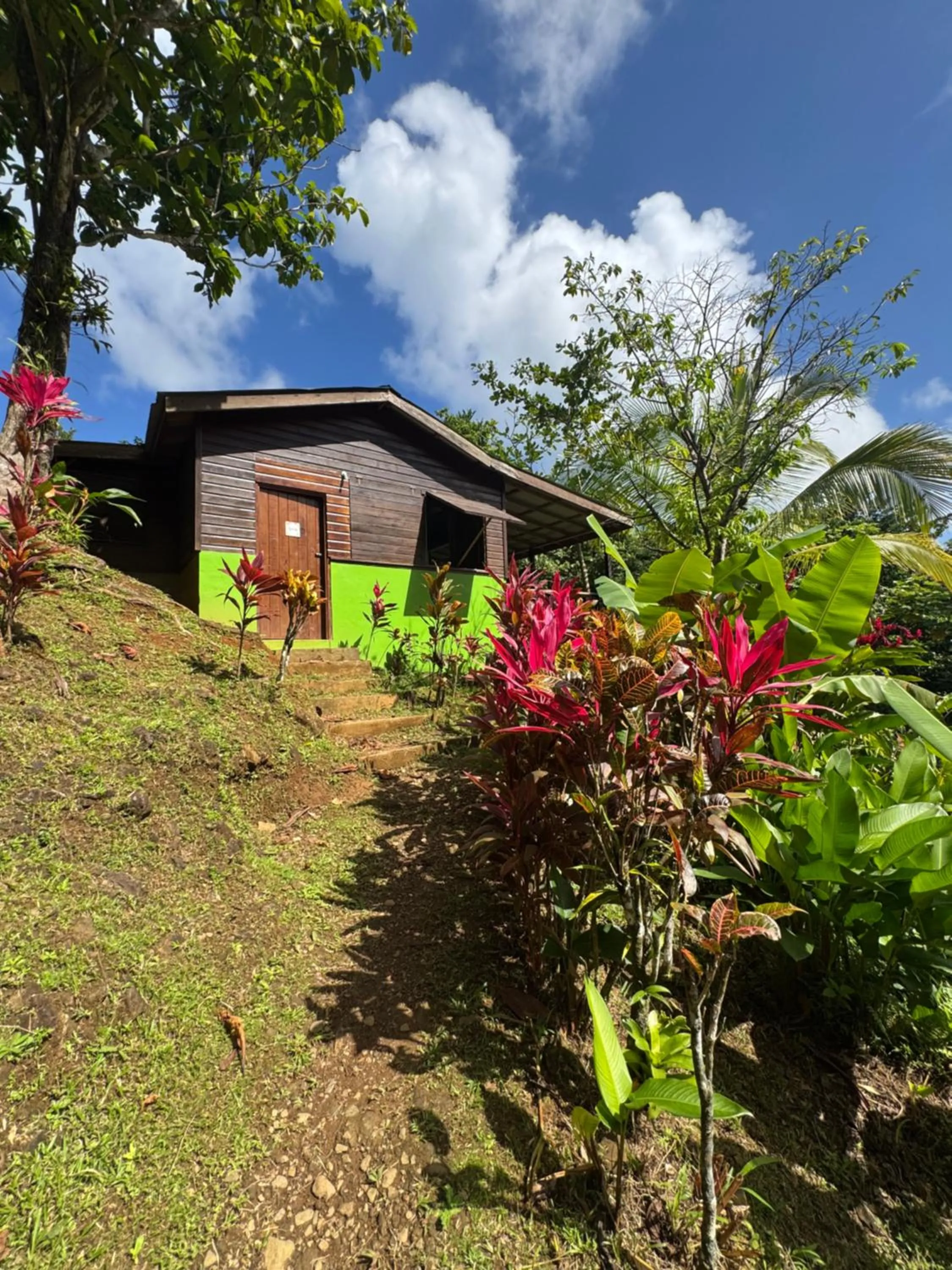 Roots Jungle Retreat