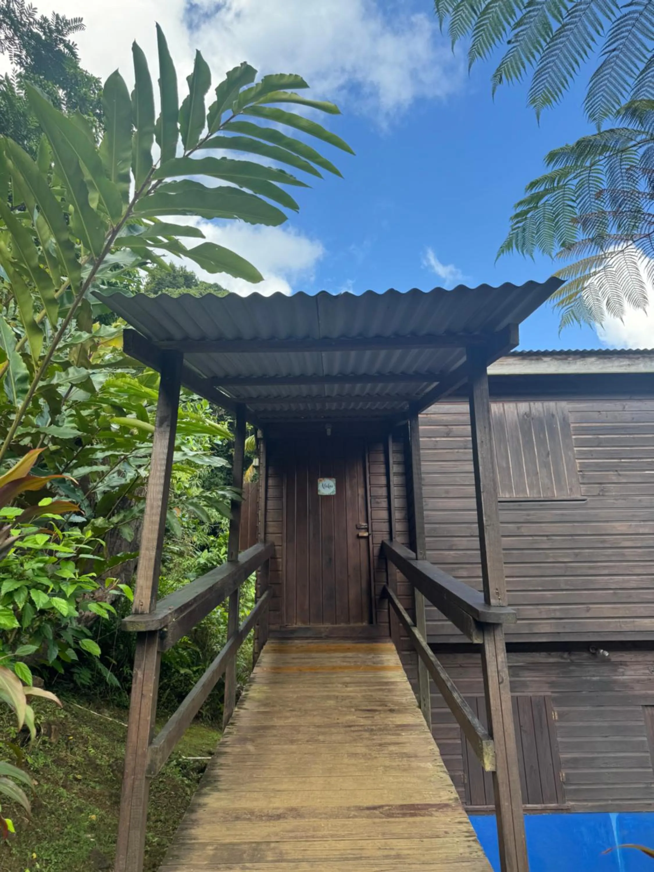 Roots Jungle Retreat