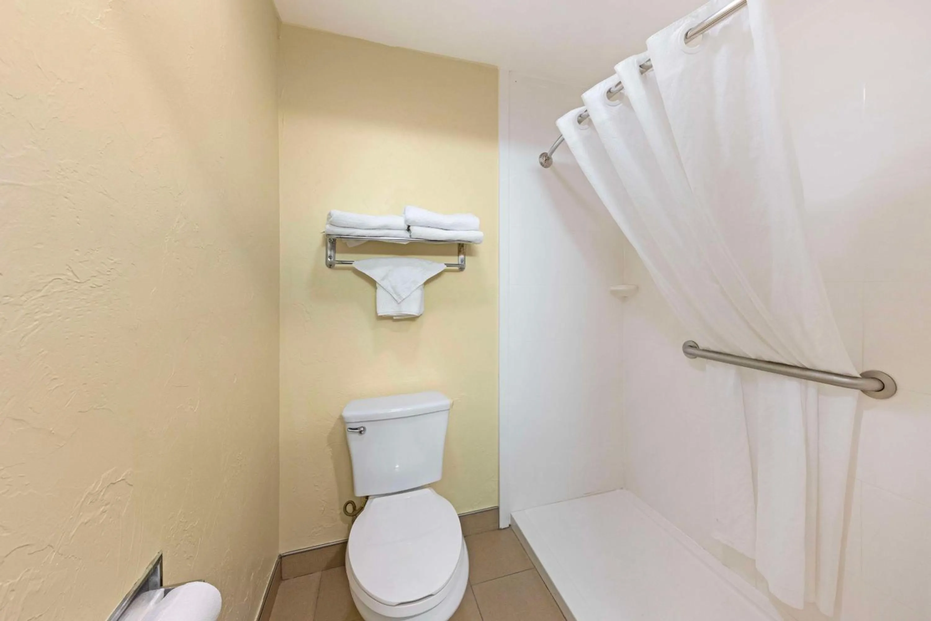 Bathroom in Best Western Greentree Inn & Suites