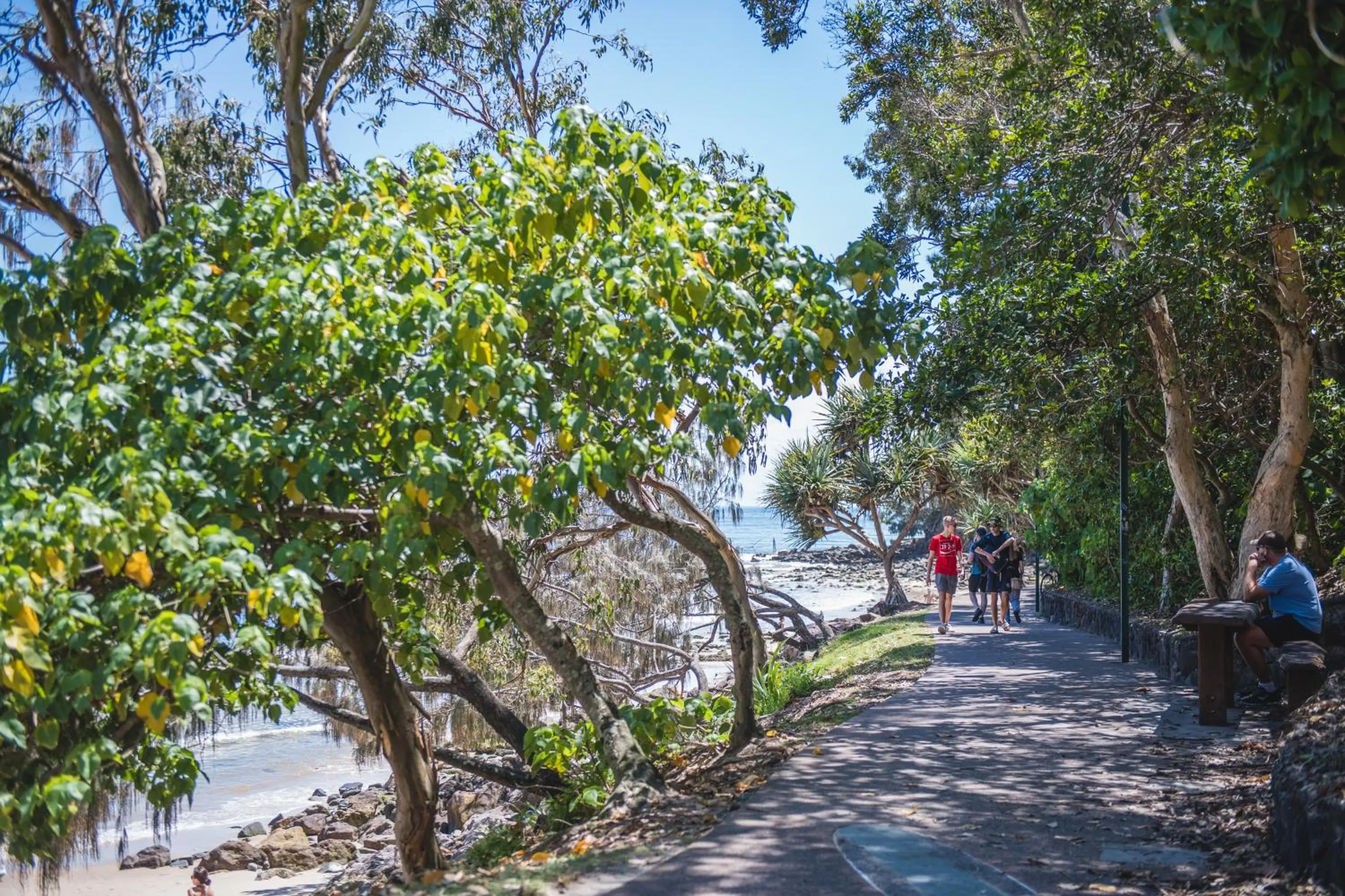 Natural landscape in Saks on Hastings