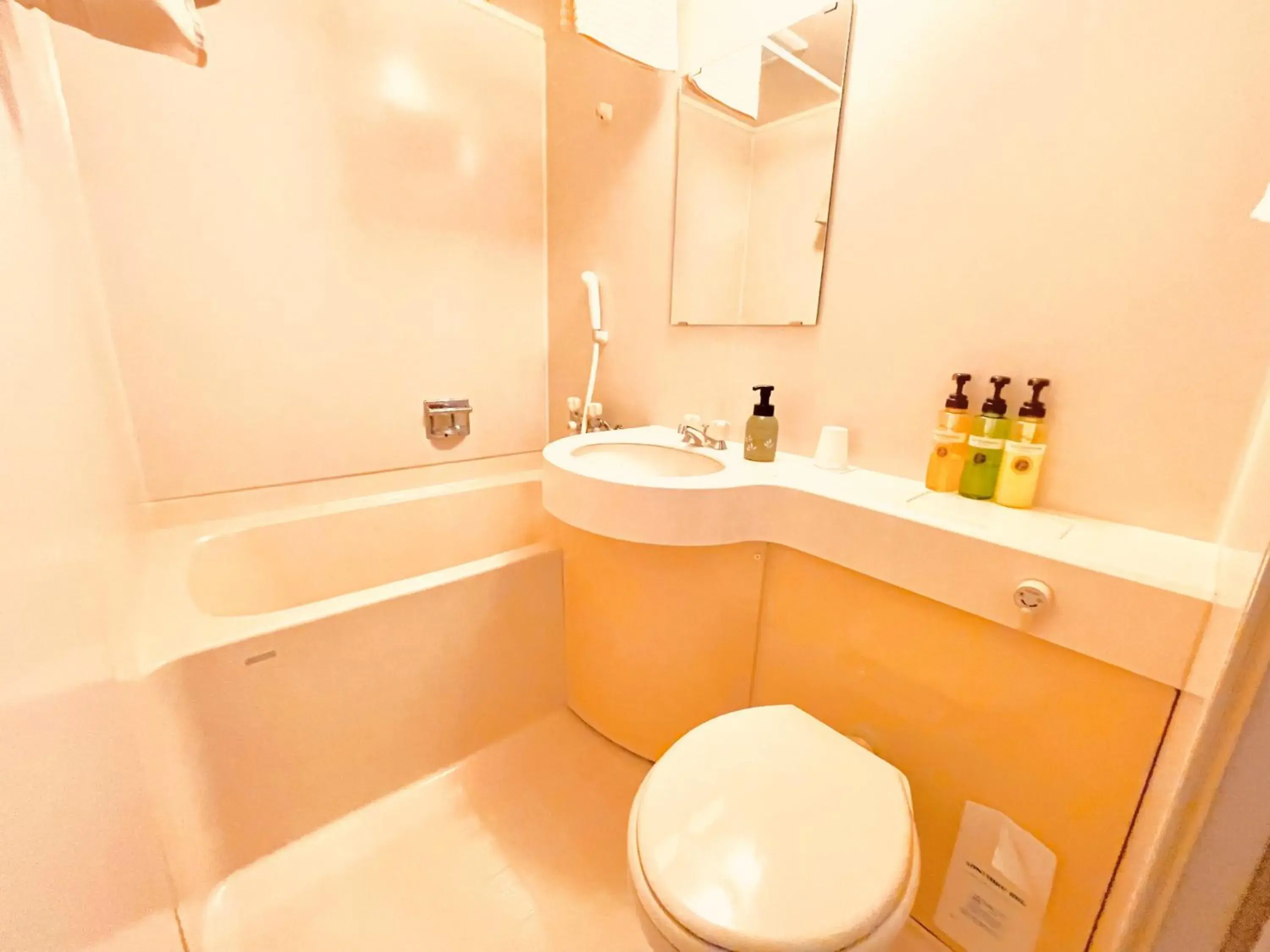 Twin Room - single occupancy in Nikko Akarinoyado Villa Revage Twin Room - single occupancy in Nikko Akarinoyado Villa Revage