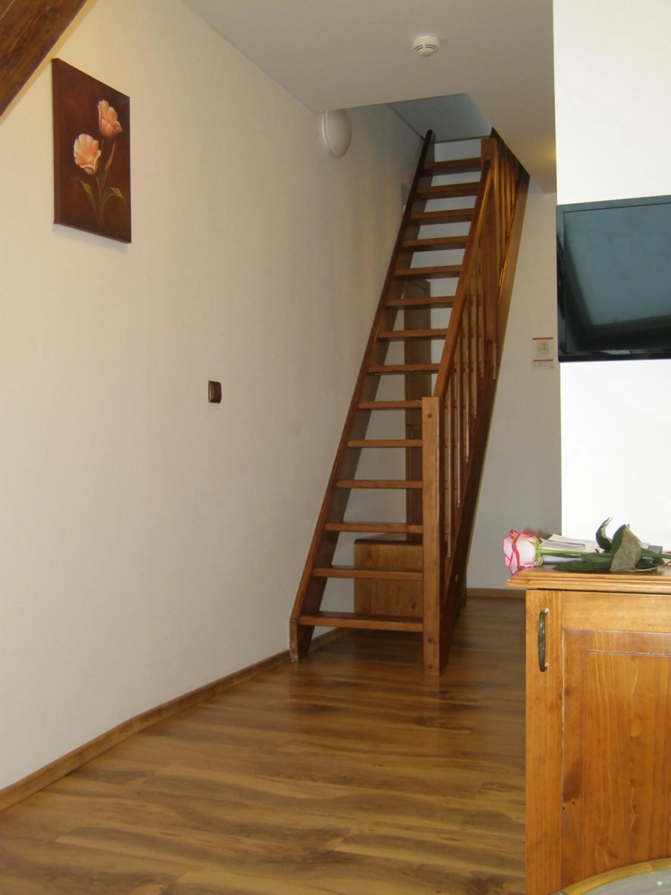 TV and multimedia in Kolštejn wellness centrum